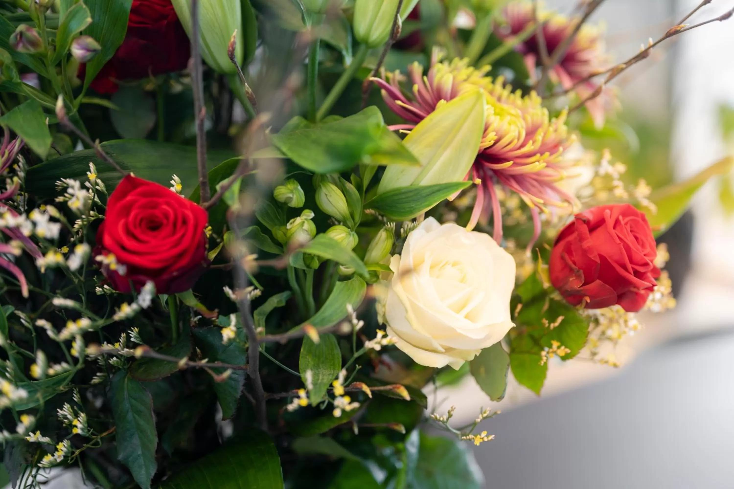 Property building in Holiday Inn Hasselt by IHG