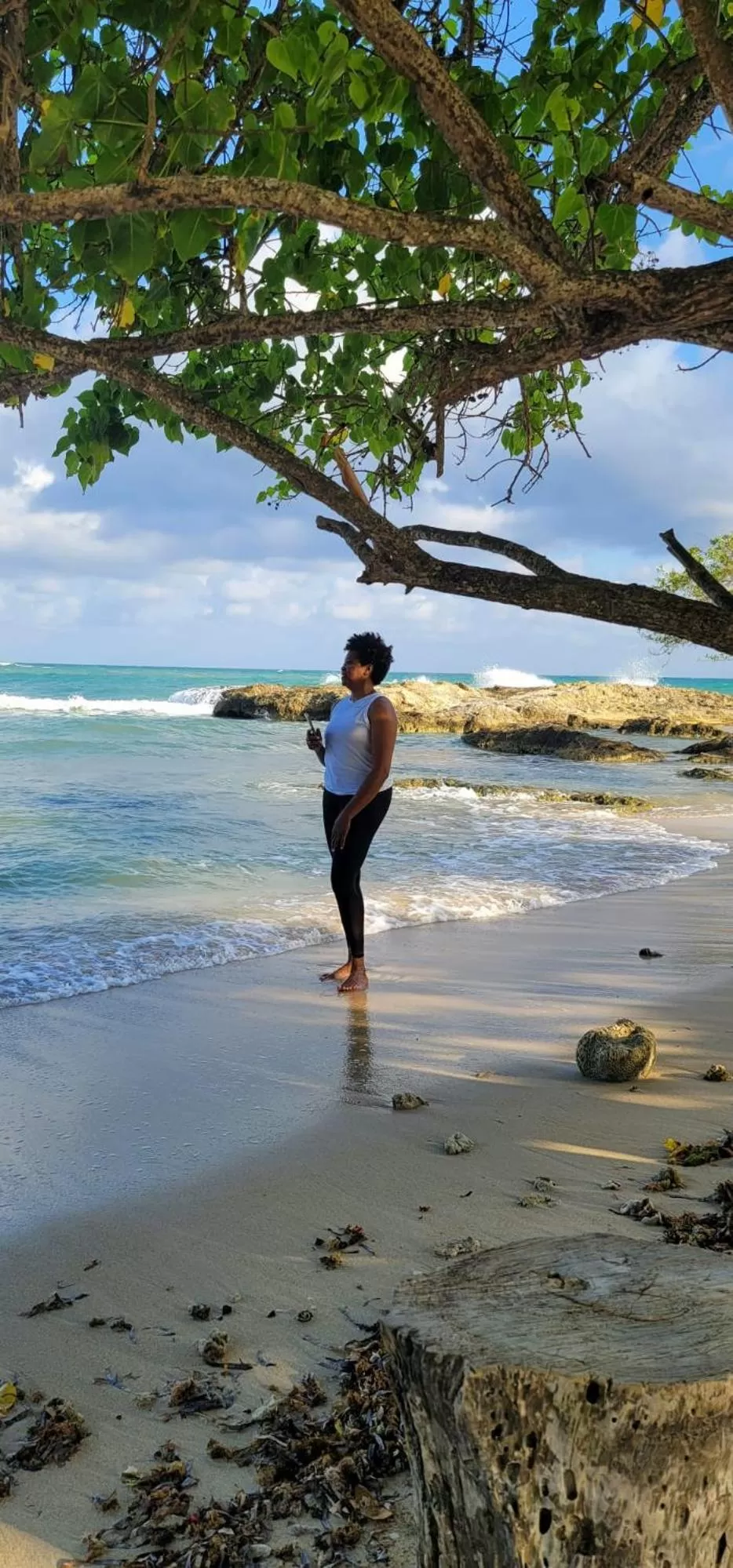 Activities in Blue Paloma Bed & Breakfast