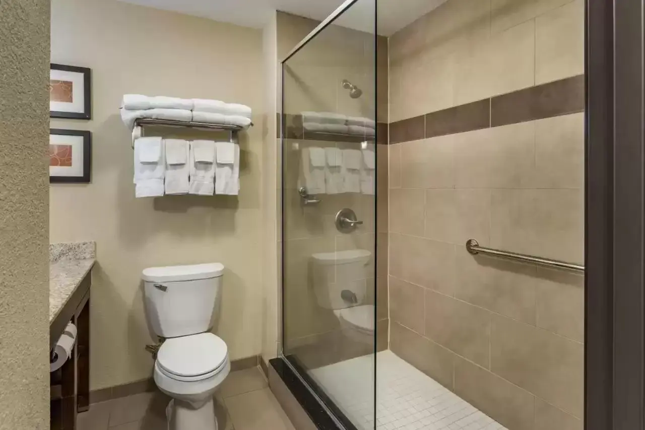 Shower, Bathroom in Comfort Suites Batesville