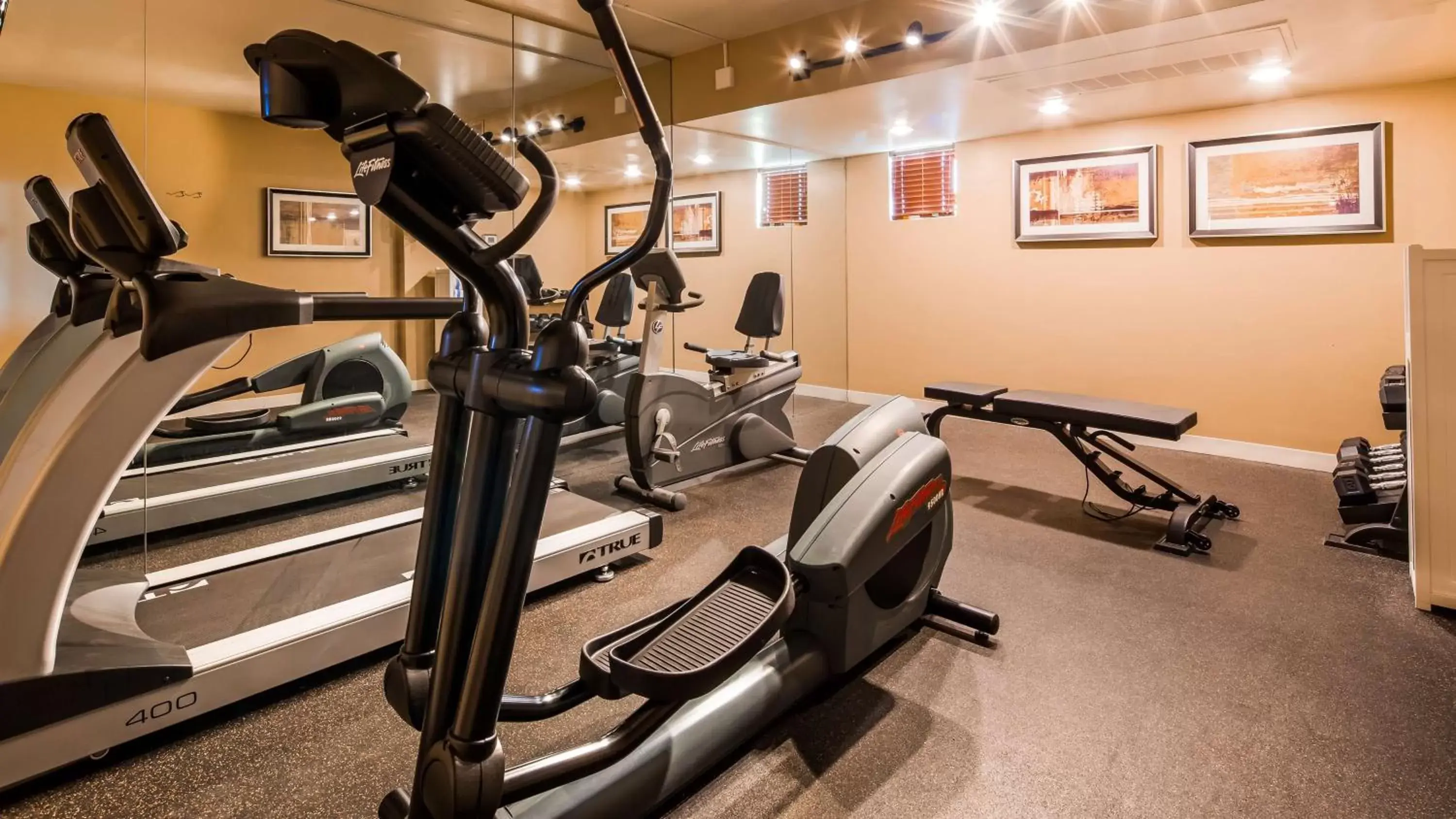 Activities, Fitness Center/Facilities in Best Western Plus King's Inn and Suites