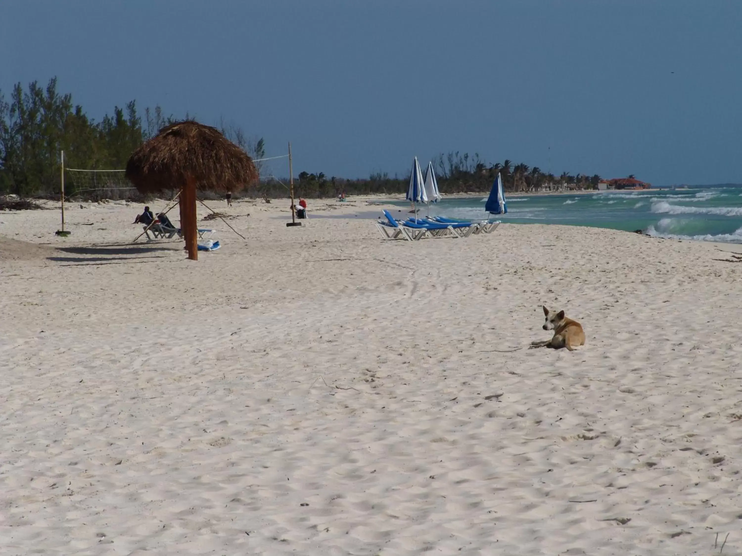 Property building, Beach in Cocos Cabañas Playa del Carmen Adults Only