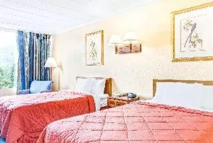 Standard King Room - Non Smoking in Quality Inn Bath