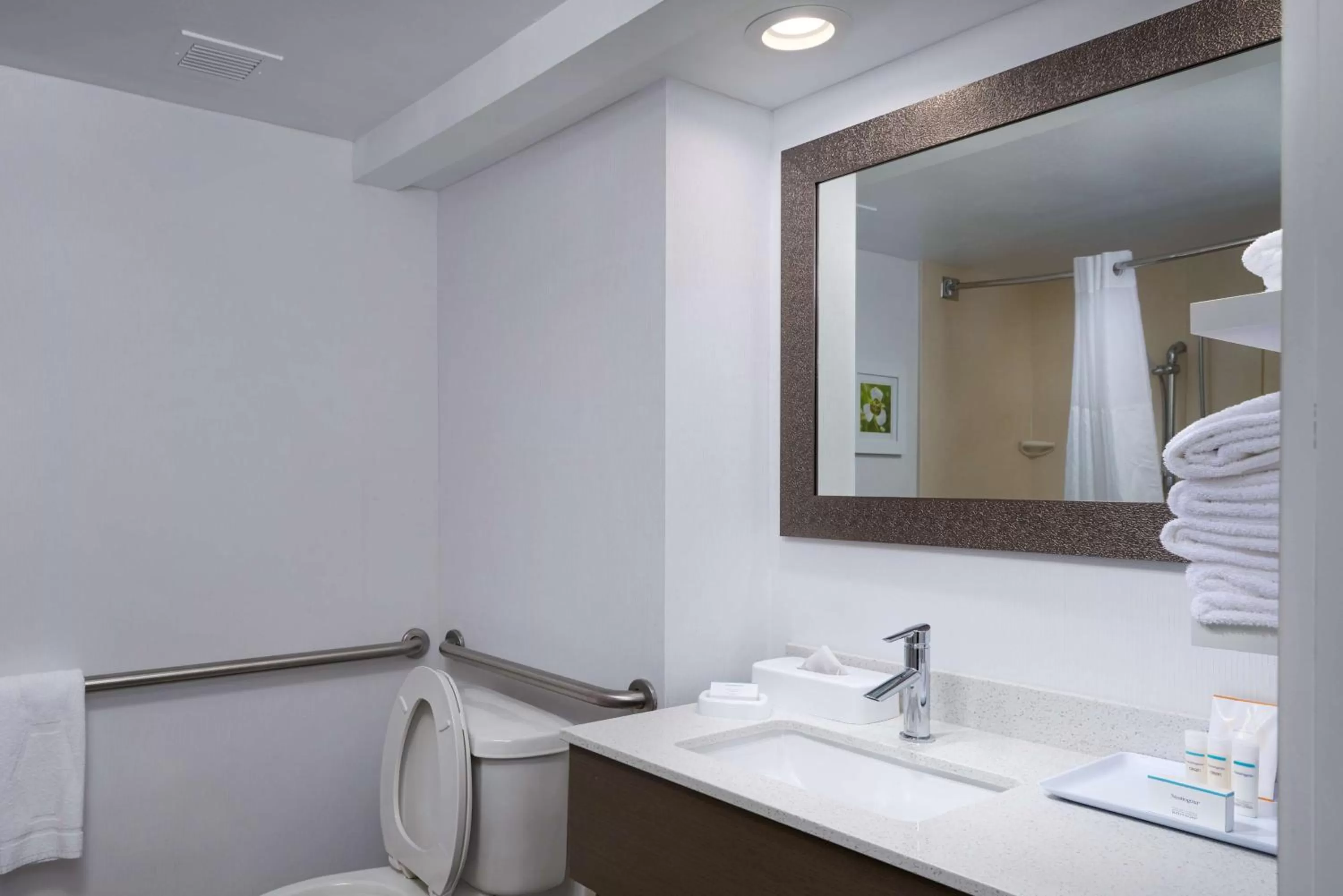 Bathroom in Hampton Inn Goldsboro