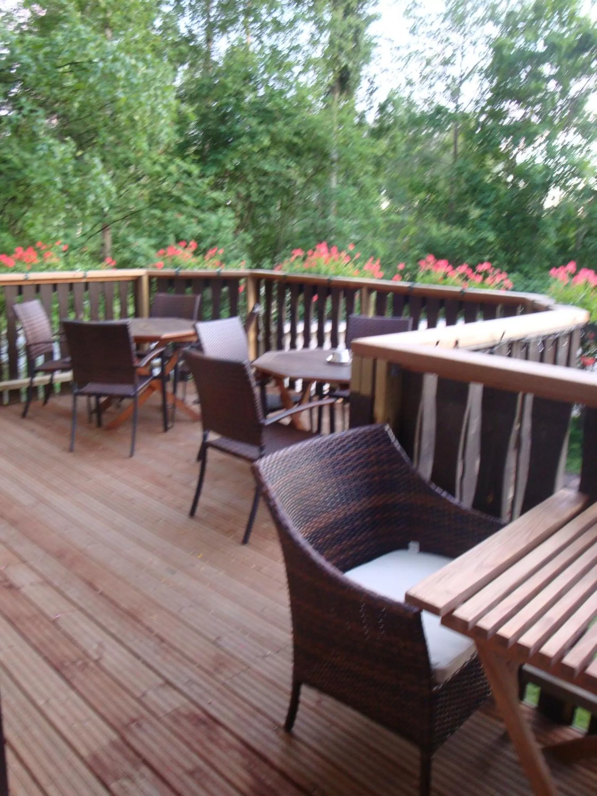 Patio in Cronin's Guesthouse Bed & Breakfast