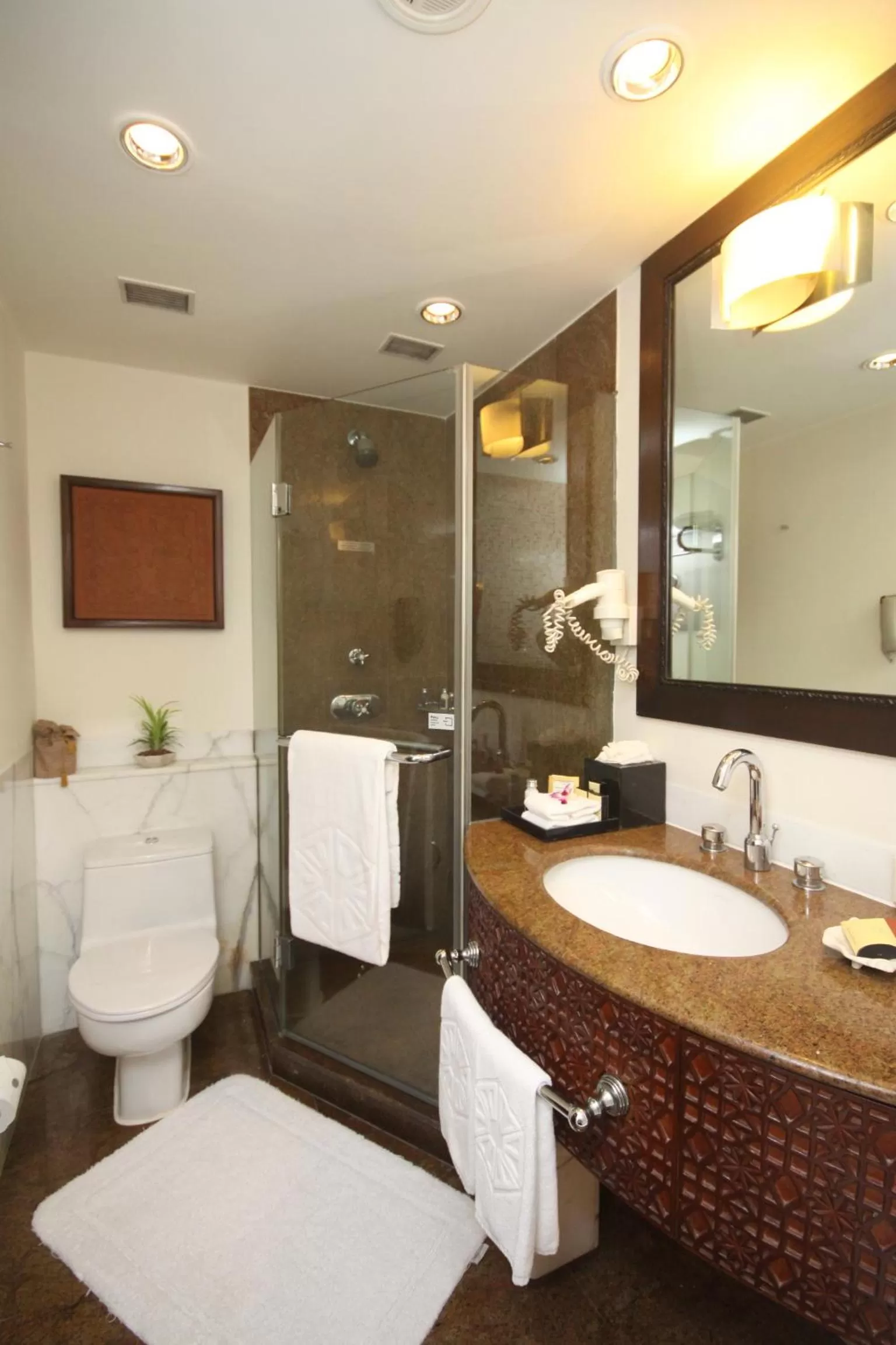 Bathroom in Taj Bengal