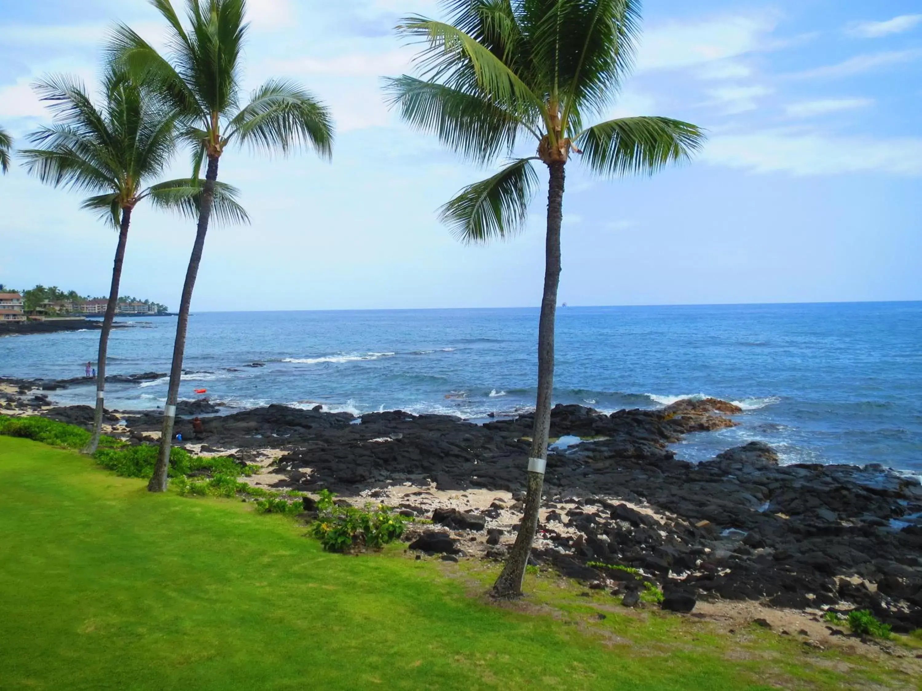 Day in Kona Reef Resort by Latour Group