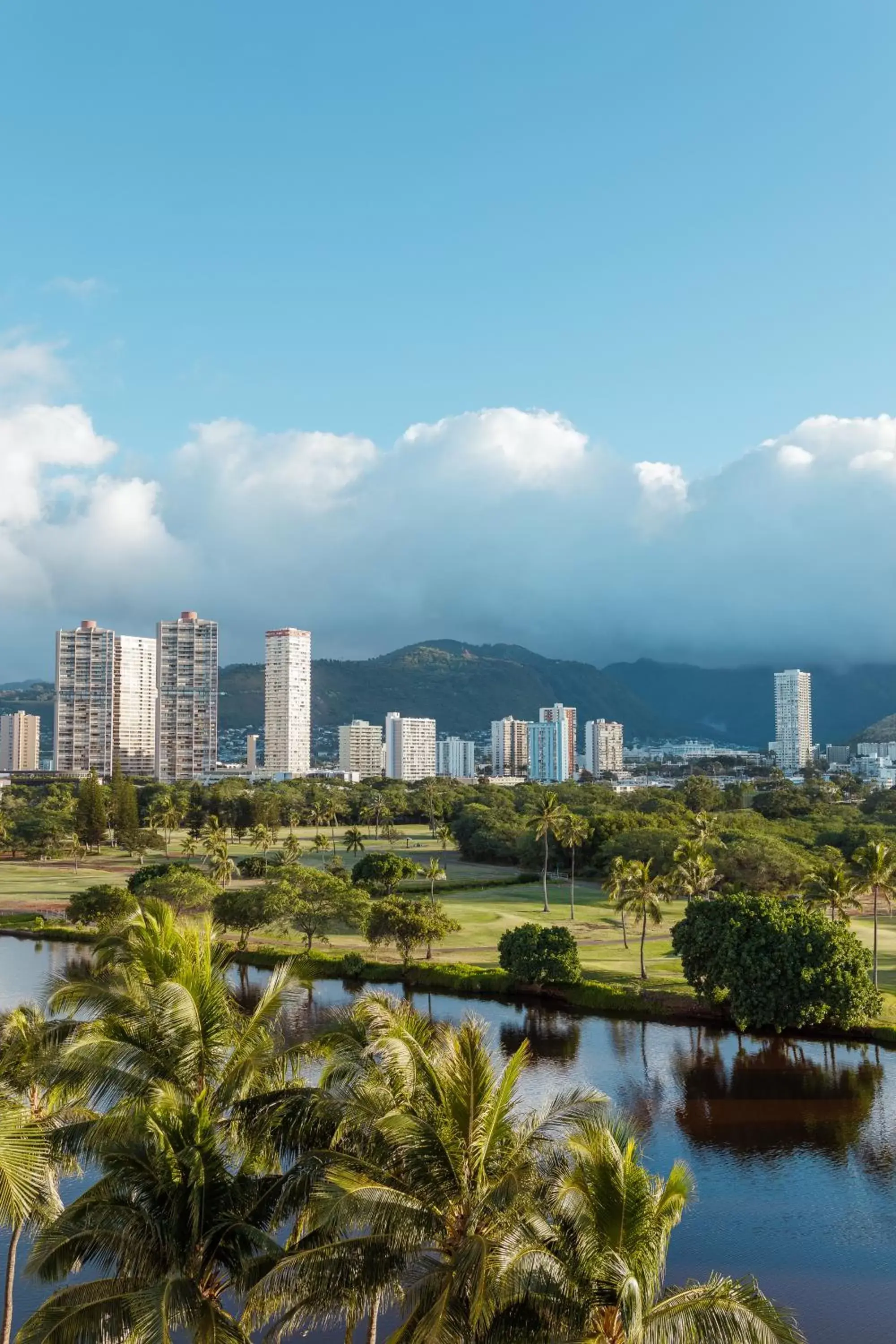 Neighbourhood in Wayfinder Waikiki