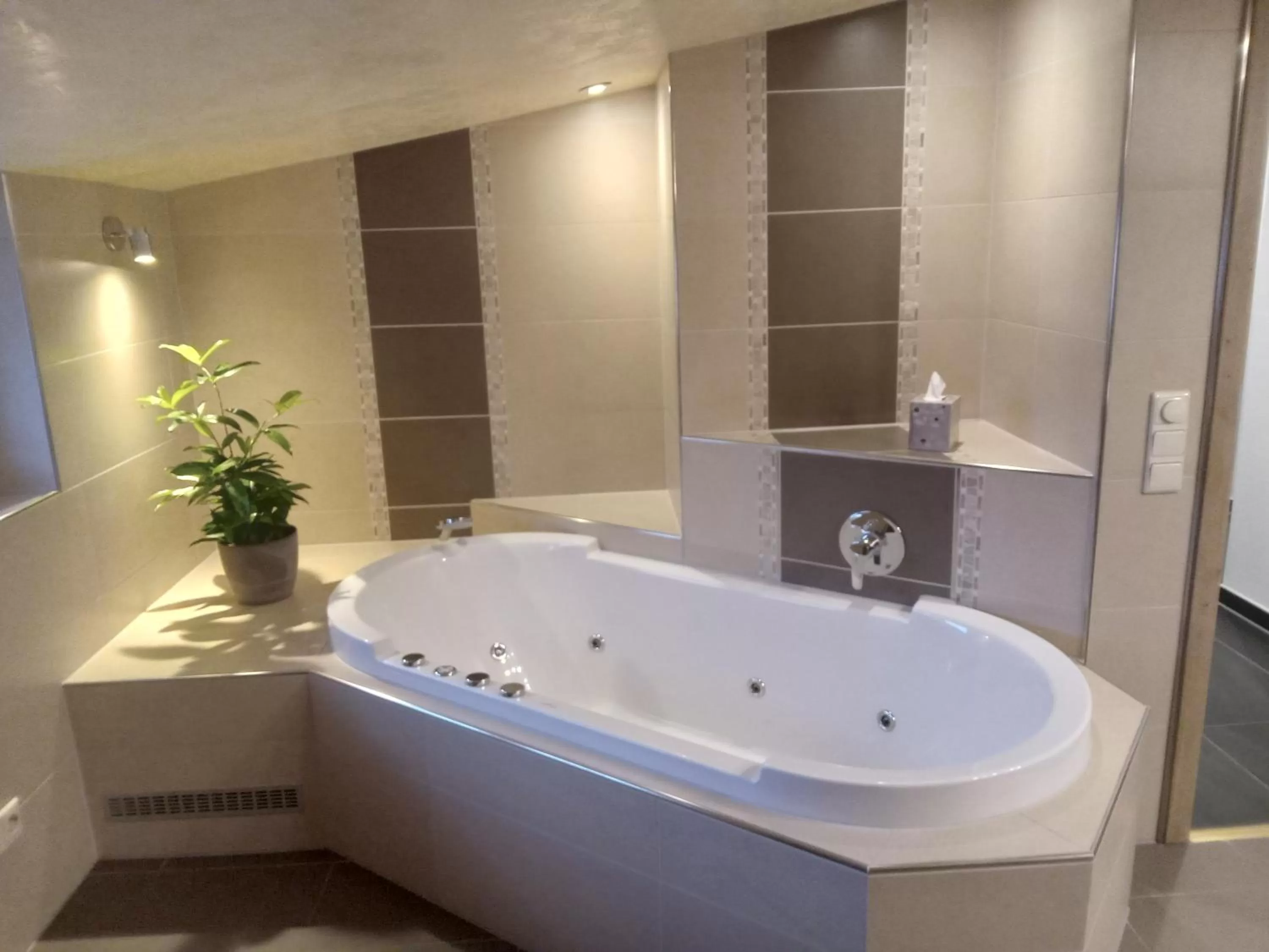 Hot Tub in OlfenLodge