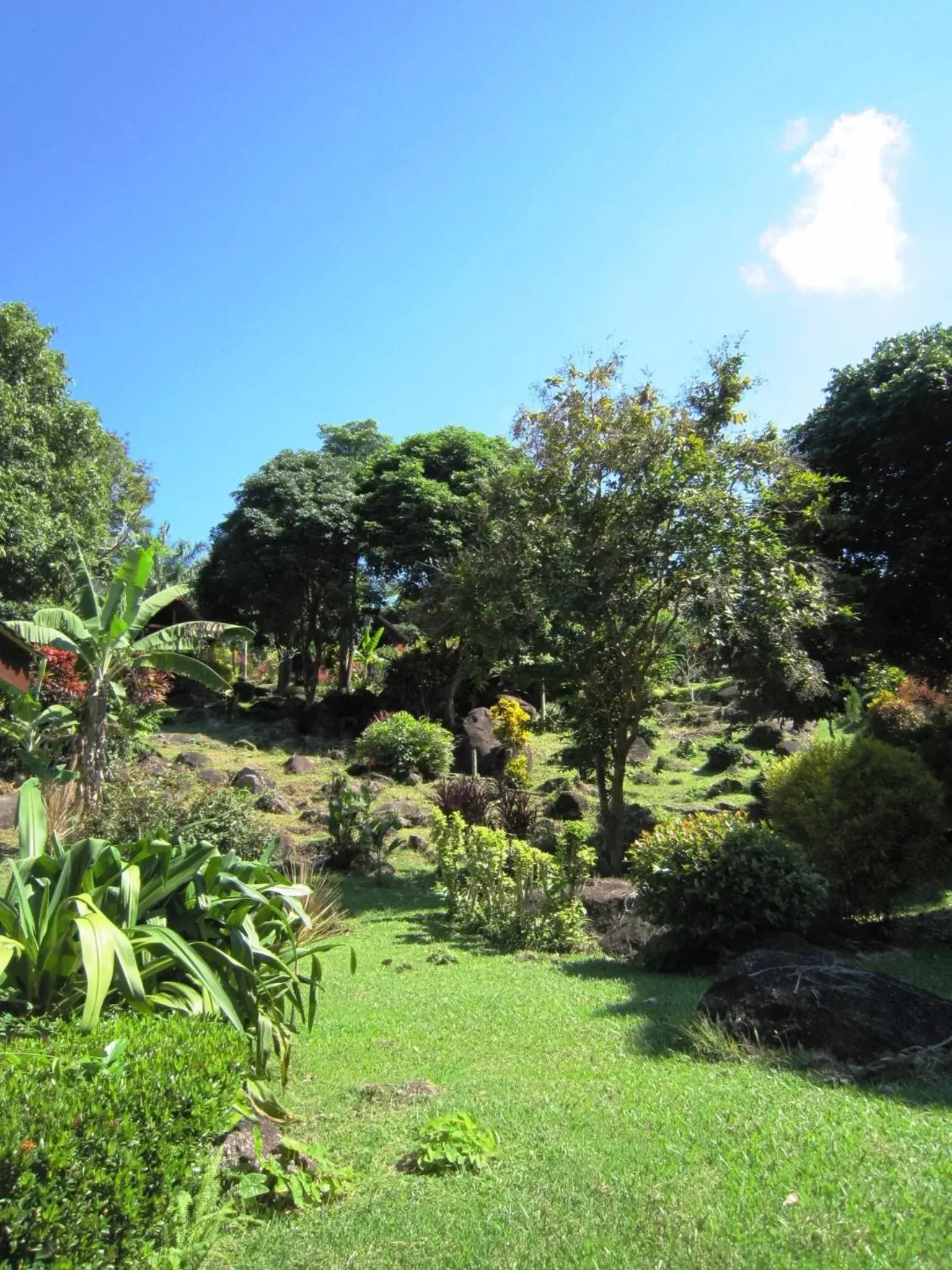 Garden in Phanom Bencha Mountain Resort