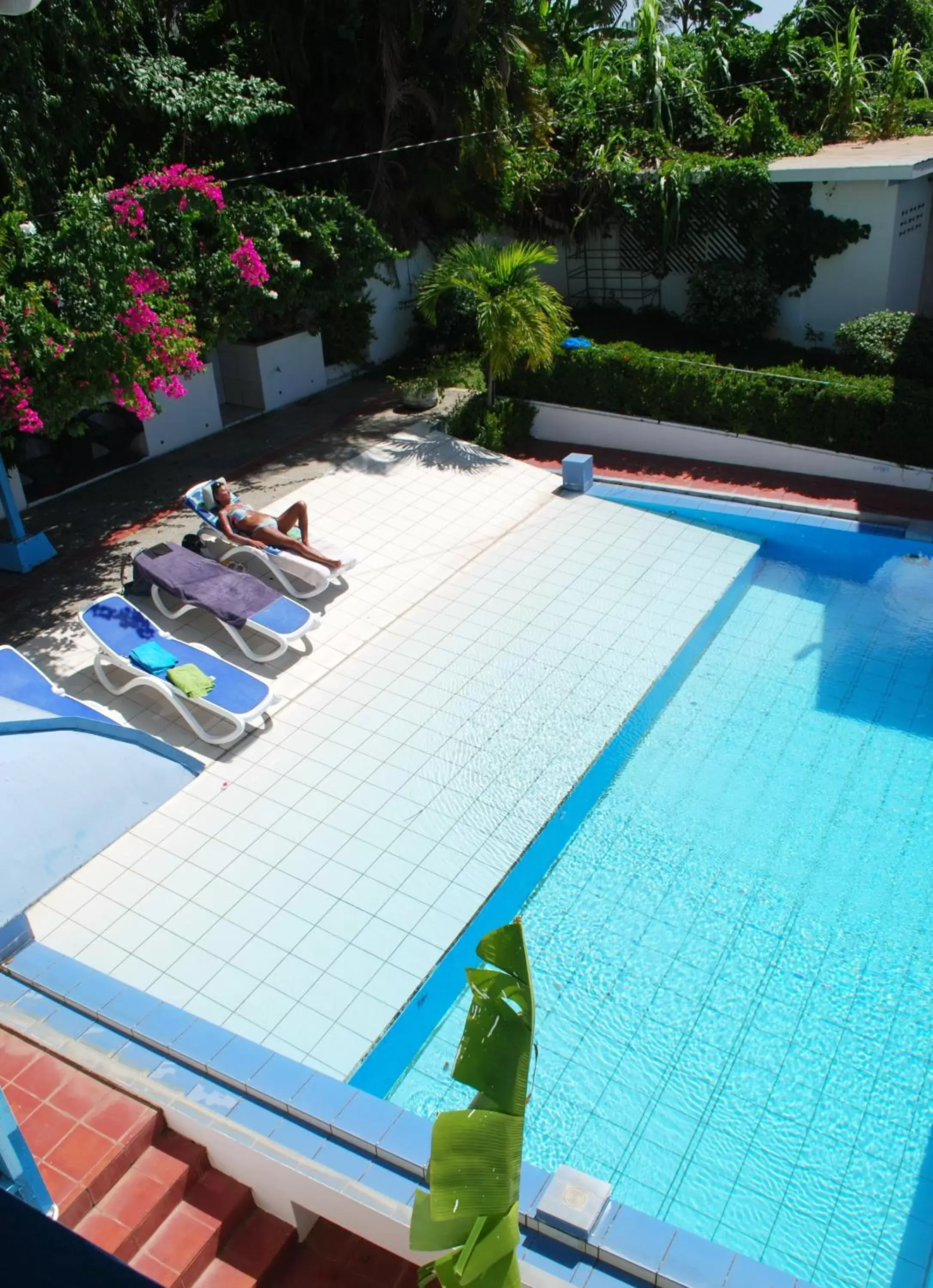 Day, Swimming Pool in Half Moon Blue Hotel