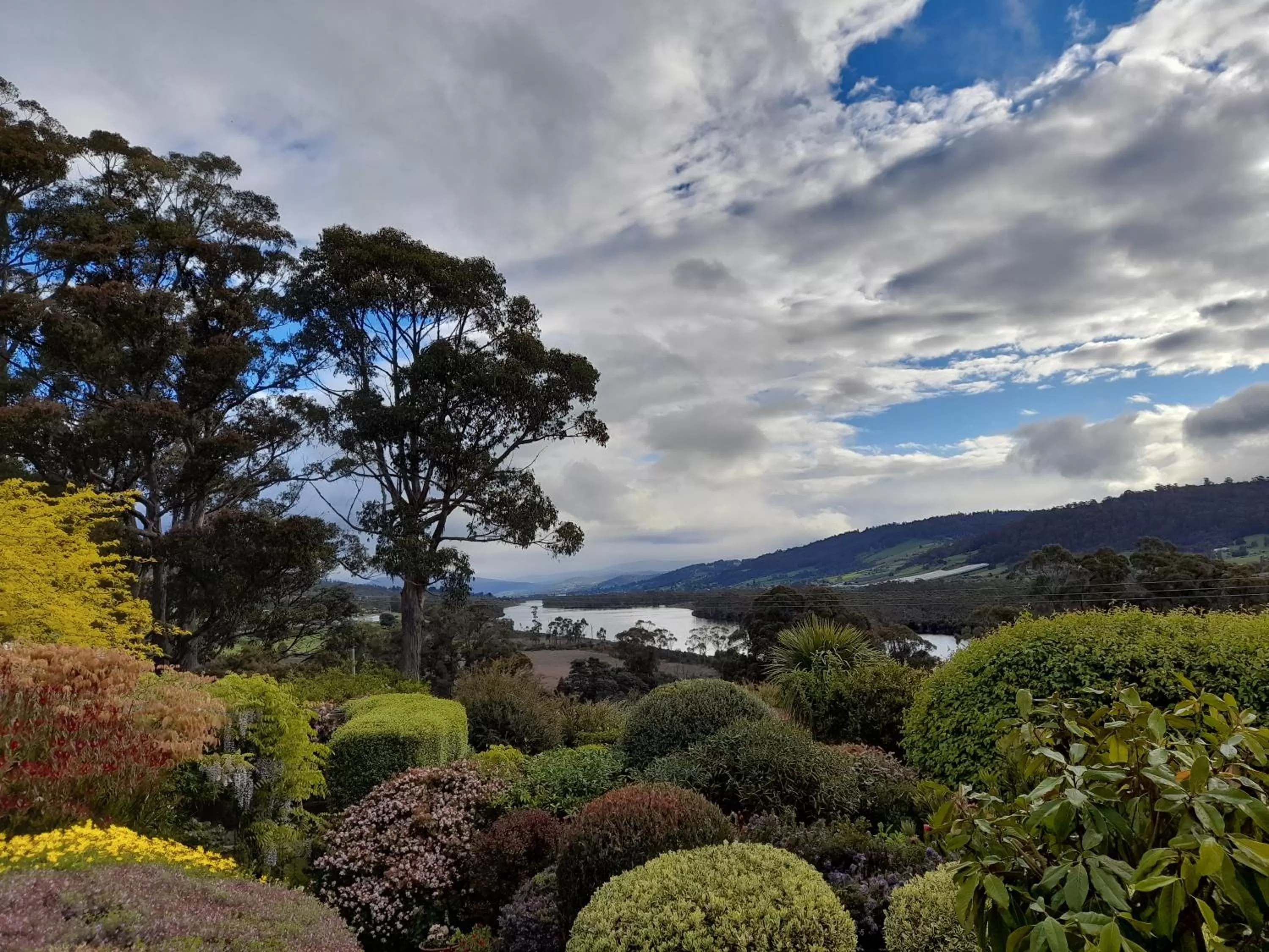 Hillside Bed and Breakfast