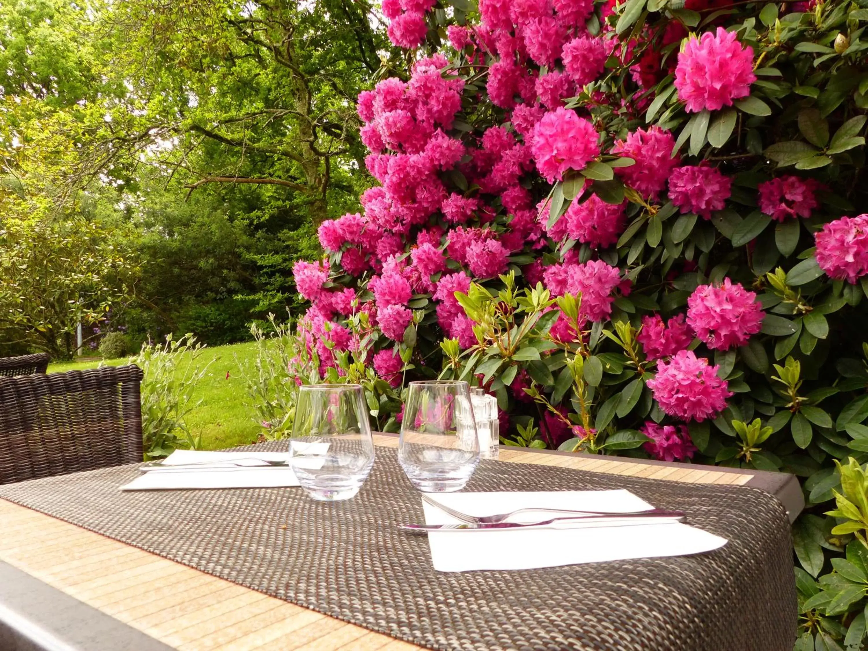 Garden view in Best Western Auray le Loch Garden view in Best Western Auray le Loch