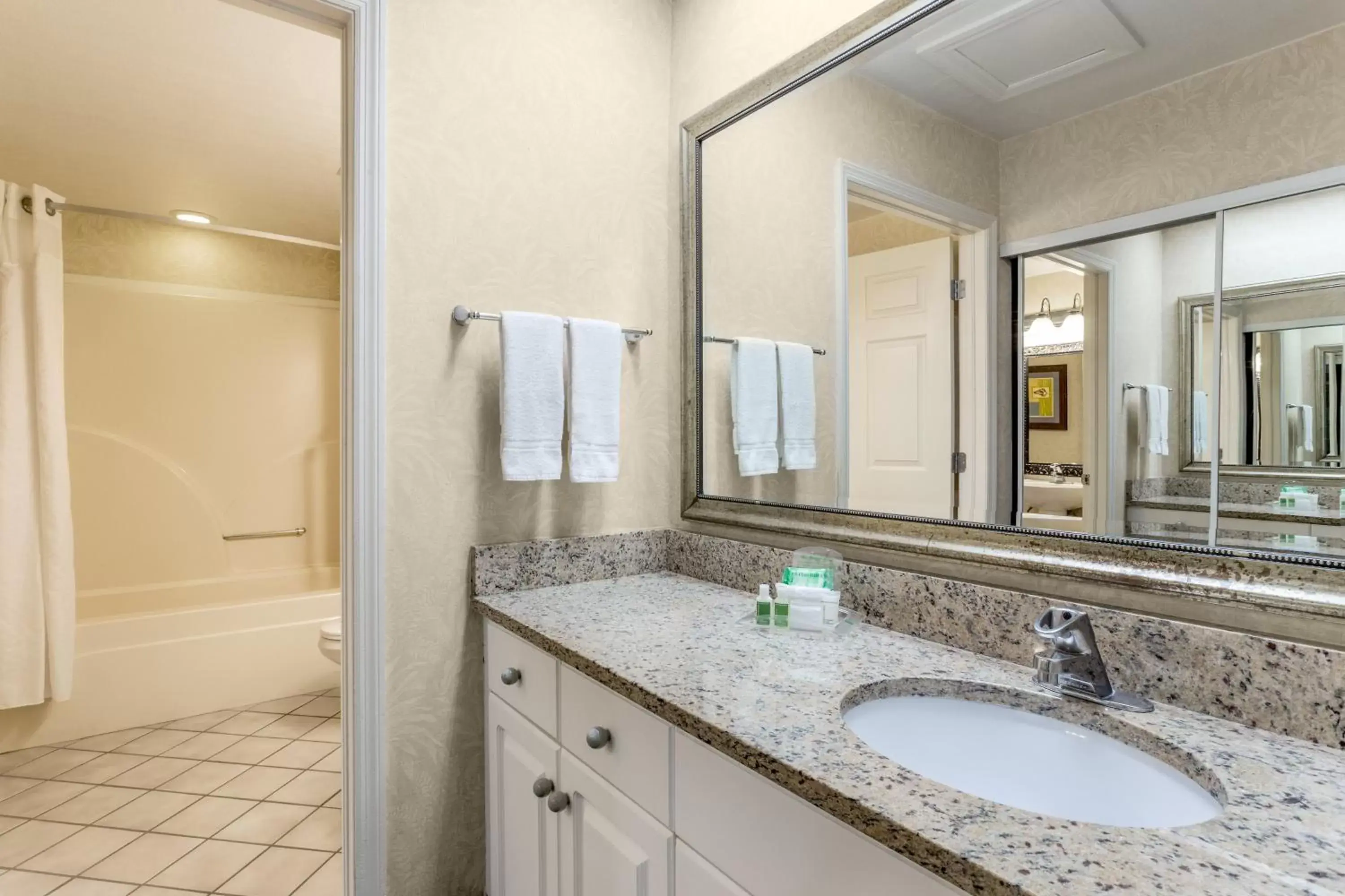 Bathroom in Holiday Inn & Suites Clearwater Beach S-Harbourside