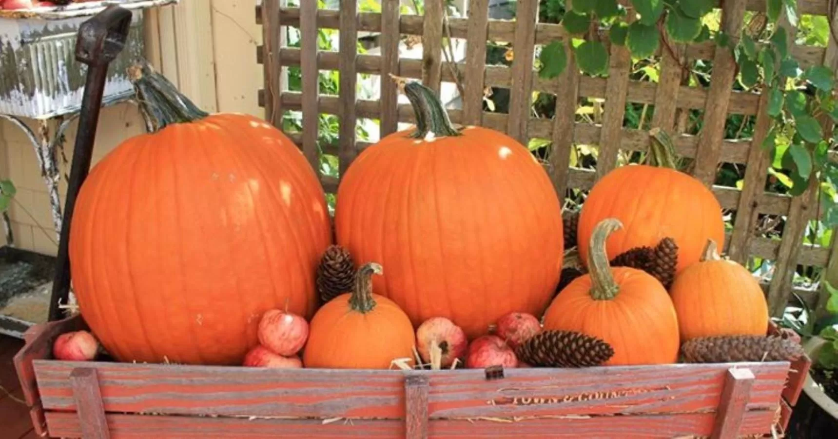 Decorative detail in 1802 House Bed & Breakfast