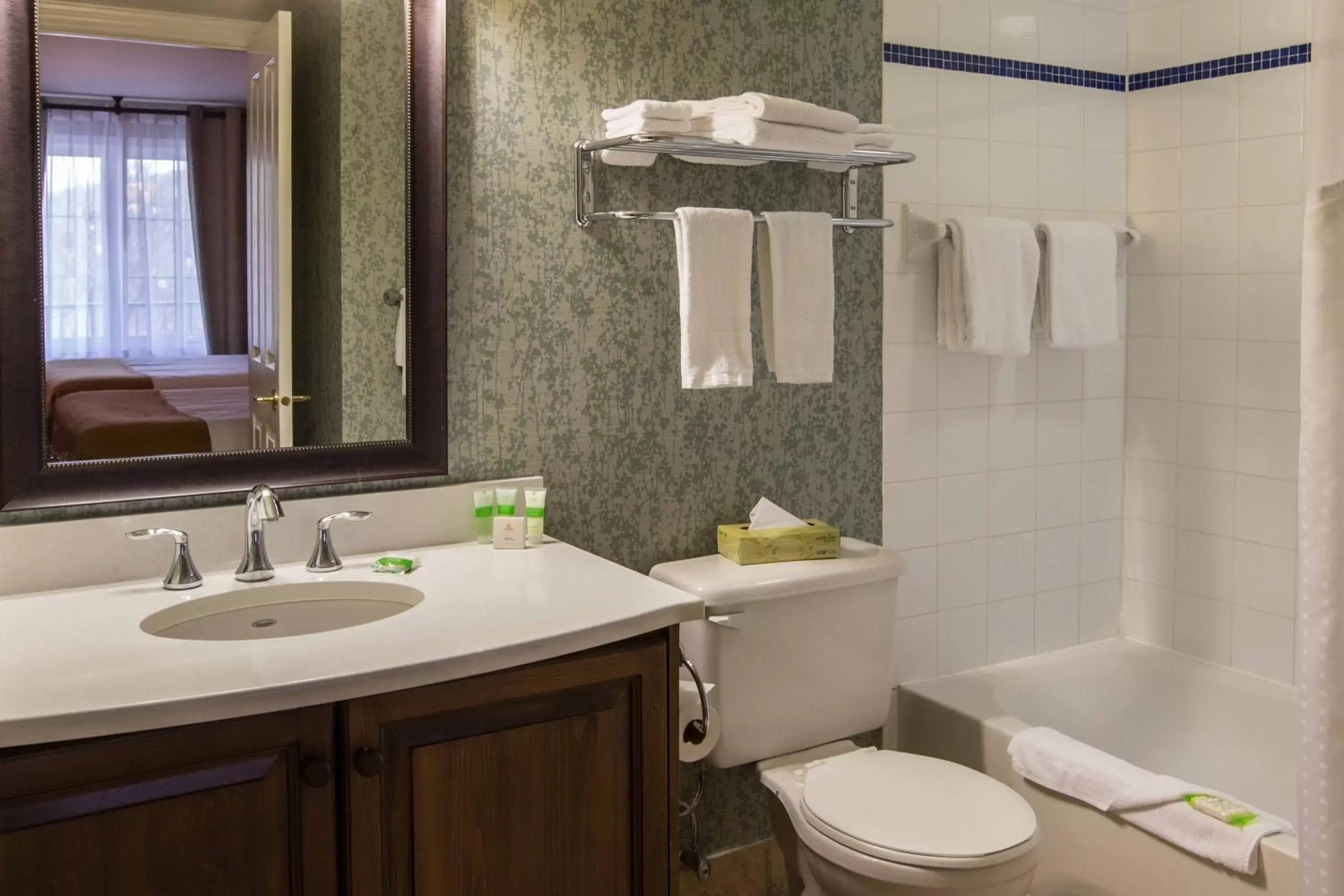 Bathroom in Holiday Inn Express & Suites Tremblant, an IHG Hotel