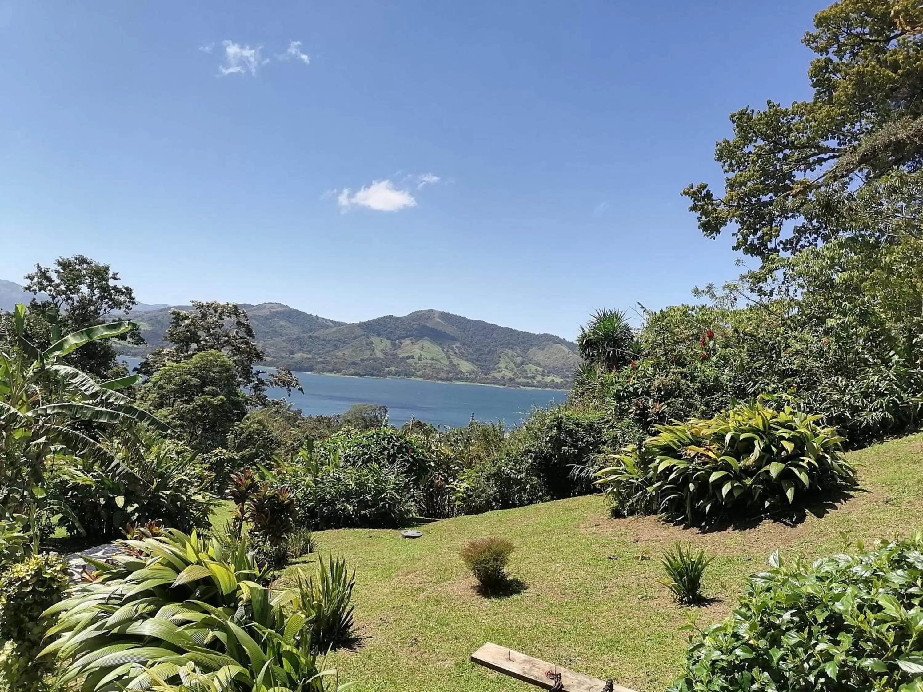 Natural landscape in La Ceiba Tree Lodge