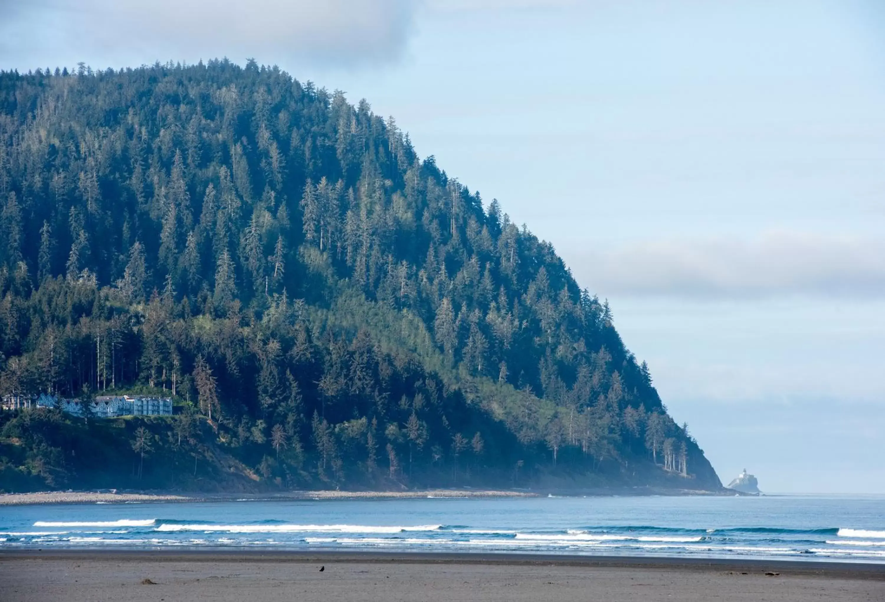 Natural landscape in Ocean Front Motel