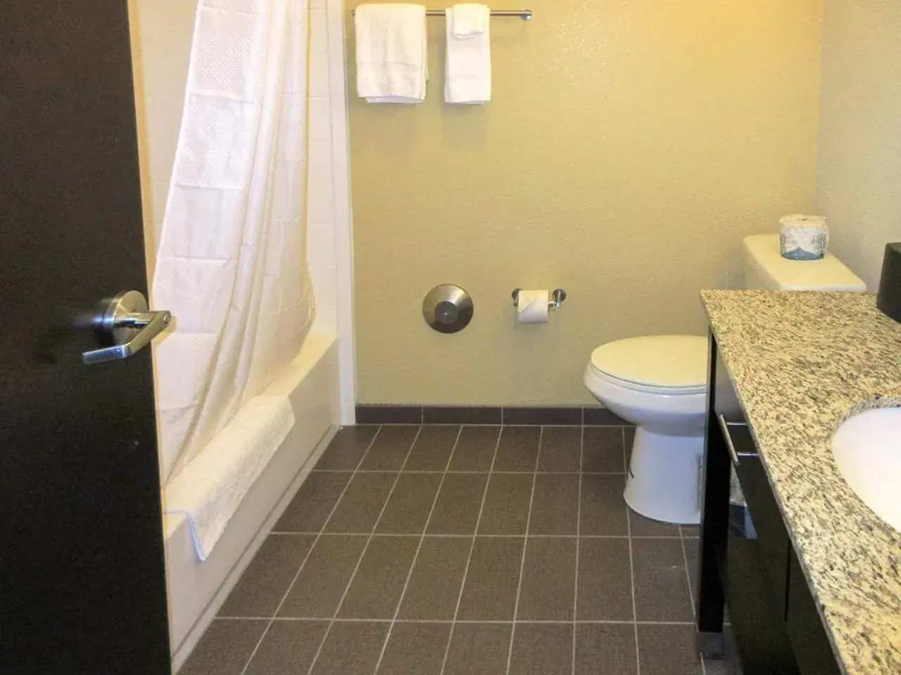 Toilet, Bathroom in Sleep Inn & Suites West-Near Medical Center