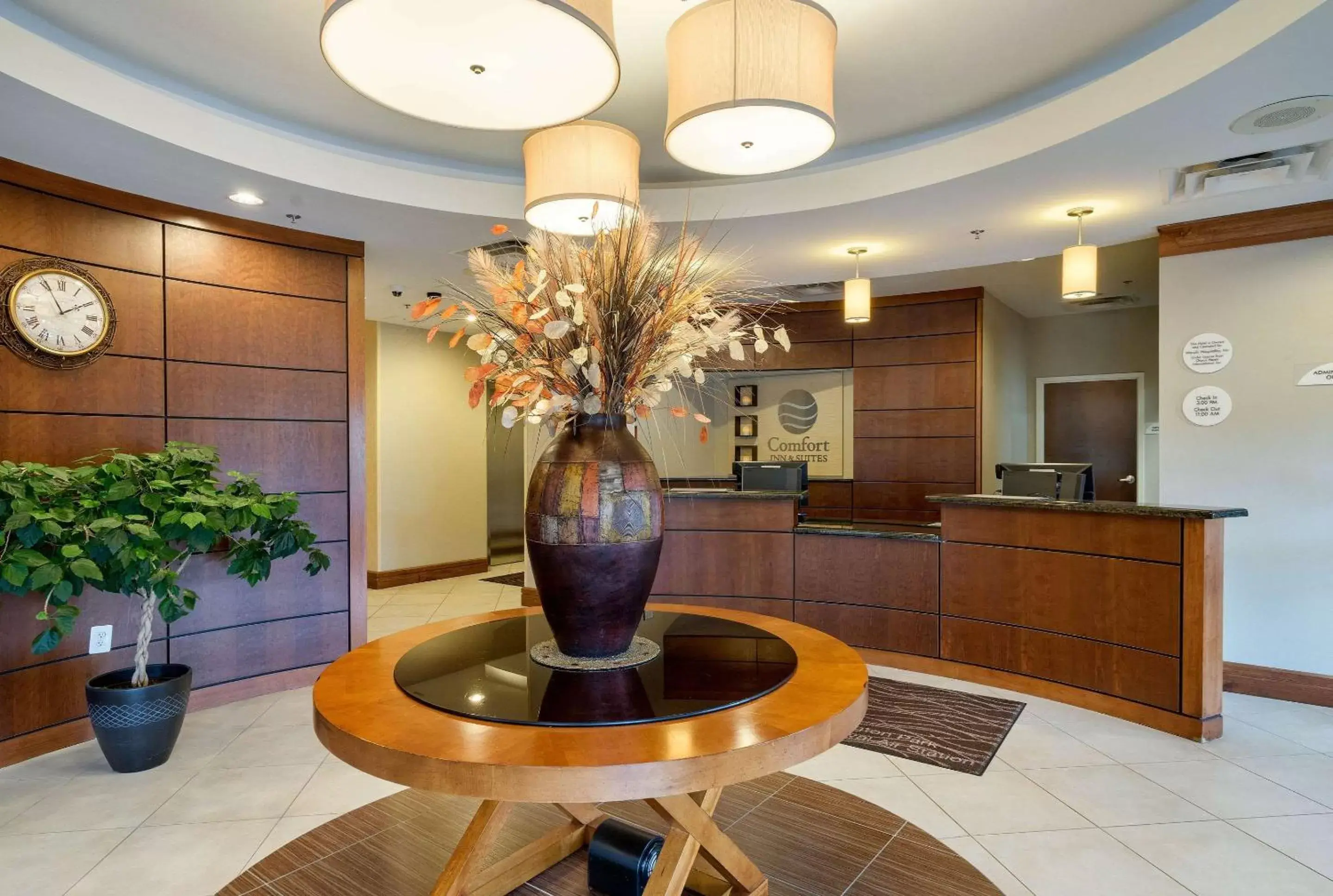 Lobby or reception, Lobby/Reception in Comfort Inn & Suites Lexington Park