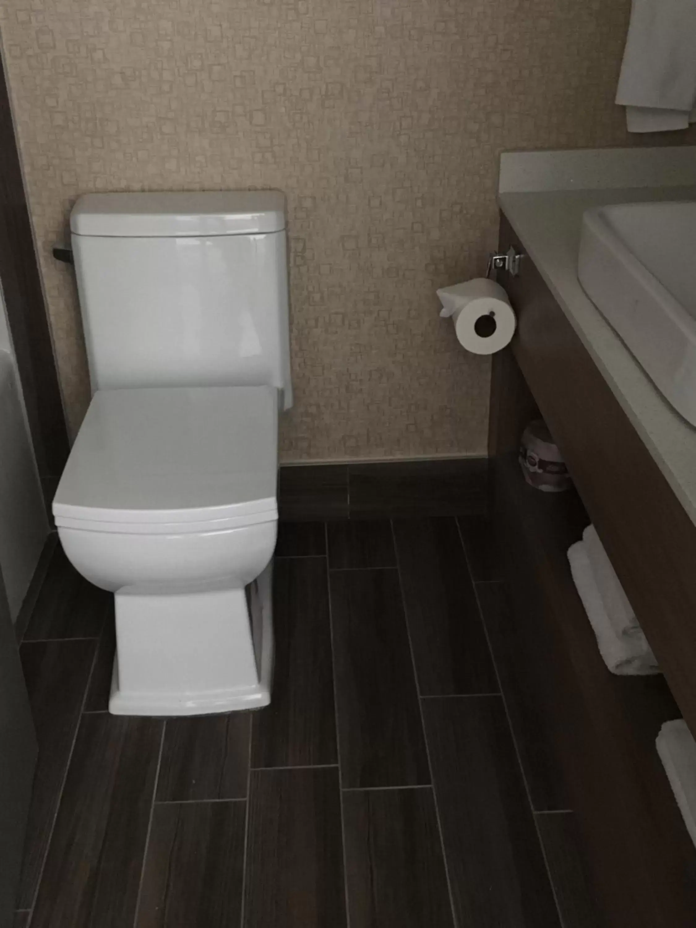 Toilet, Bathroom in Baymont by Wyndham Medicine Hat