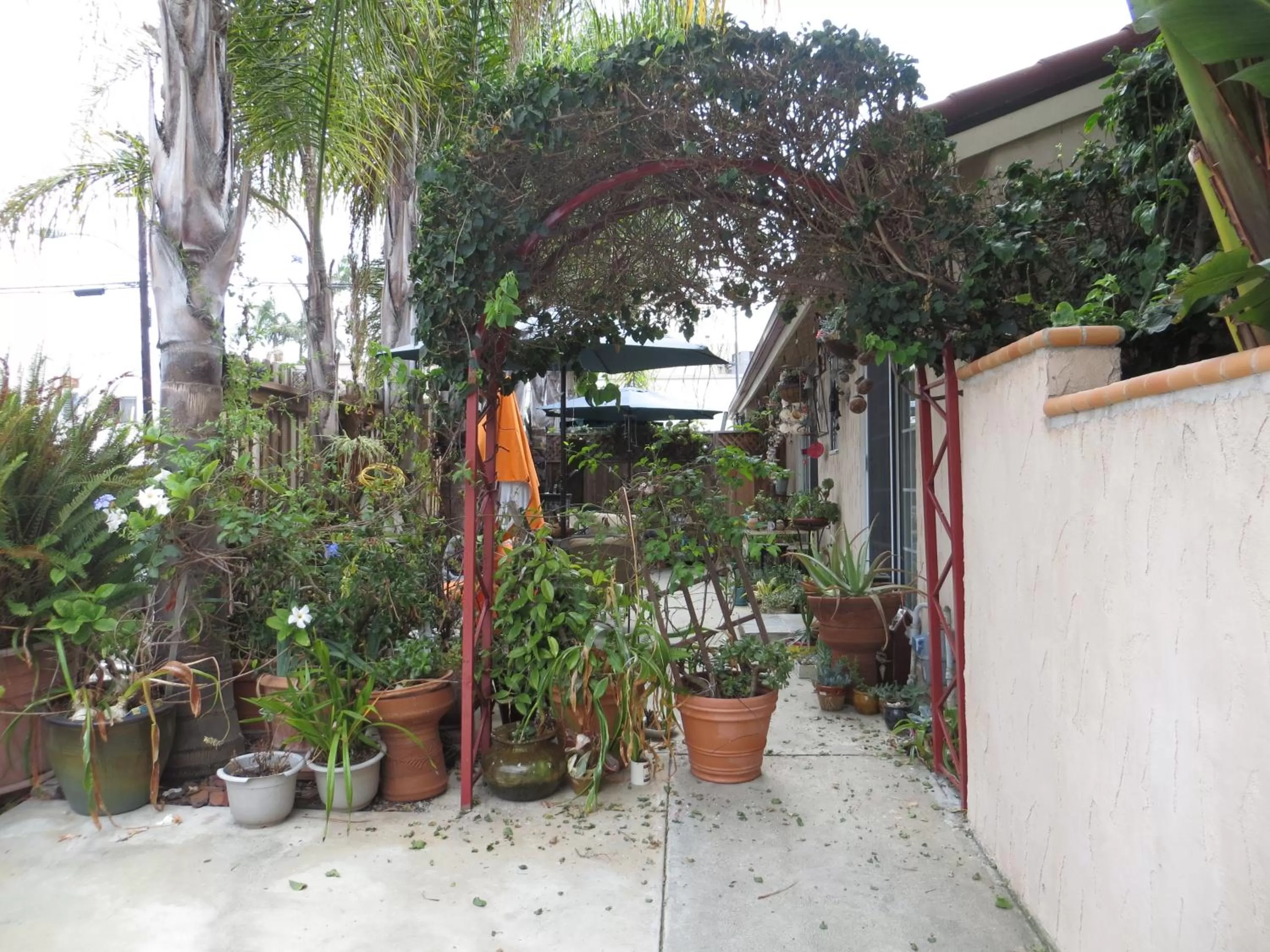 Balcony/Terrace in Always Inn San Clemente Bed & Breakfast by Elevate Rooms
