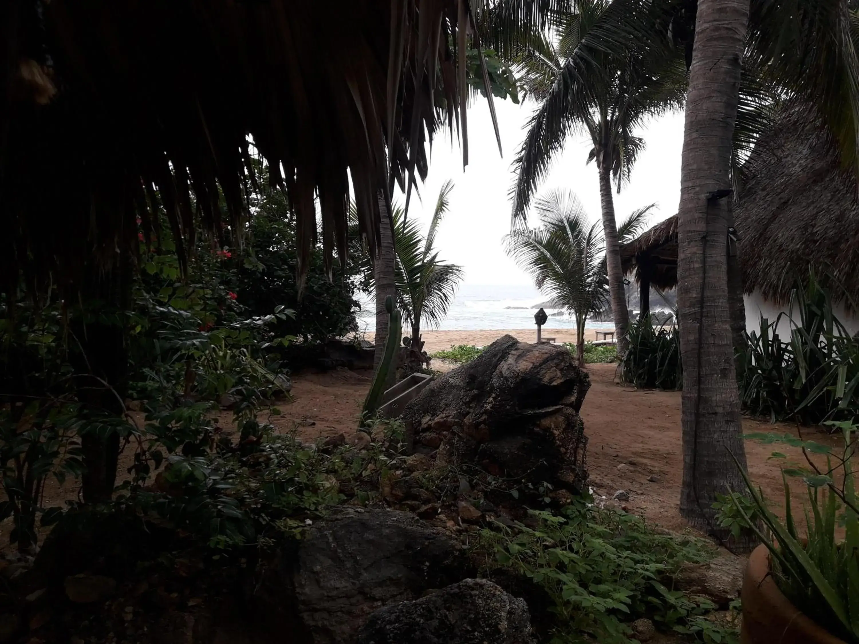 Garden in El Alquimista Yoga Spa