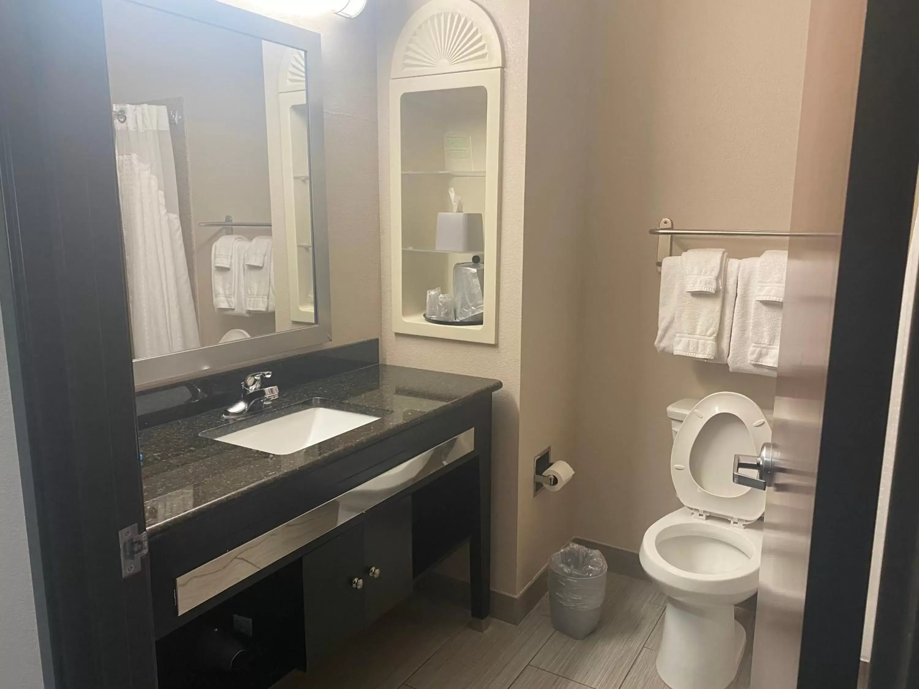 Bathroom in Holiday Inn Express Hotel and Suites Fort Stockton, an IHG Hotel