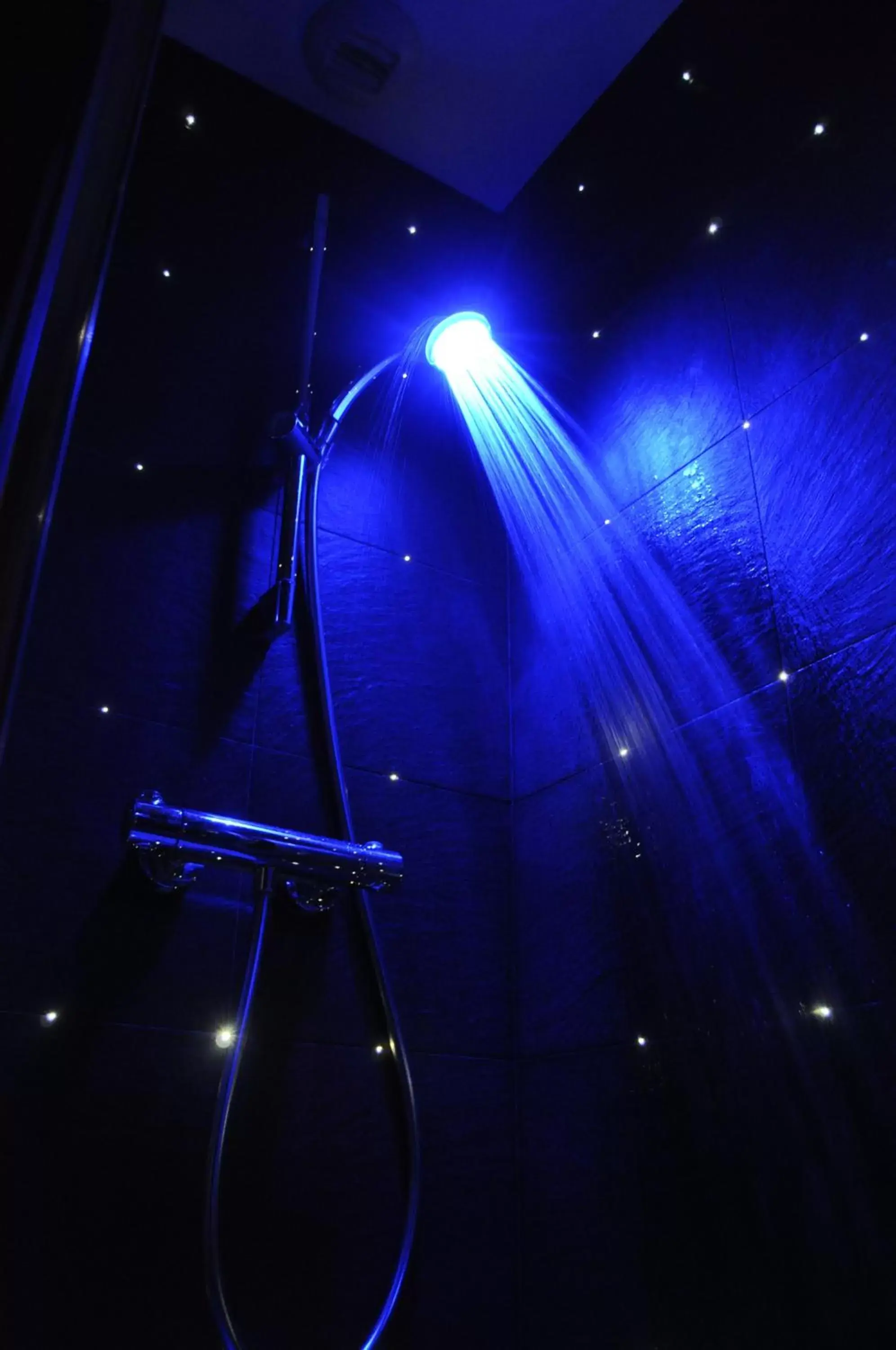 Shower, Bathroom in Hotel Dauphin