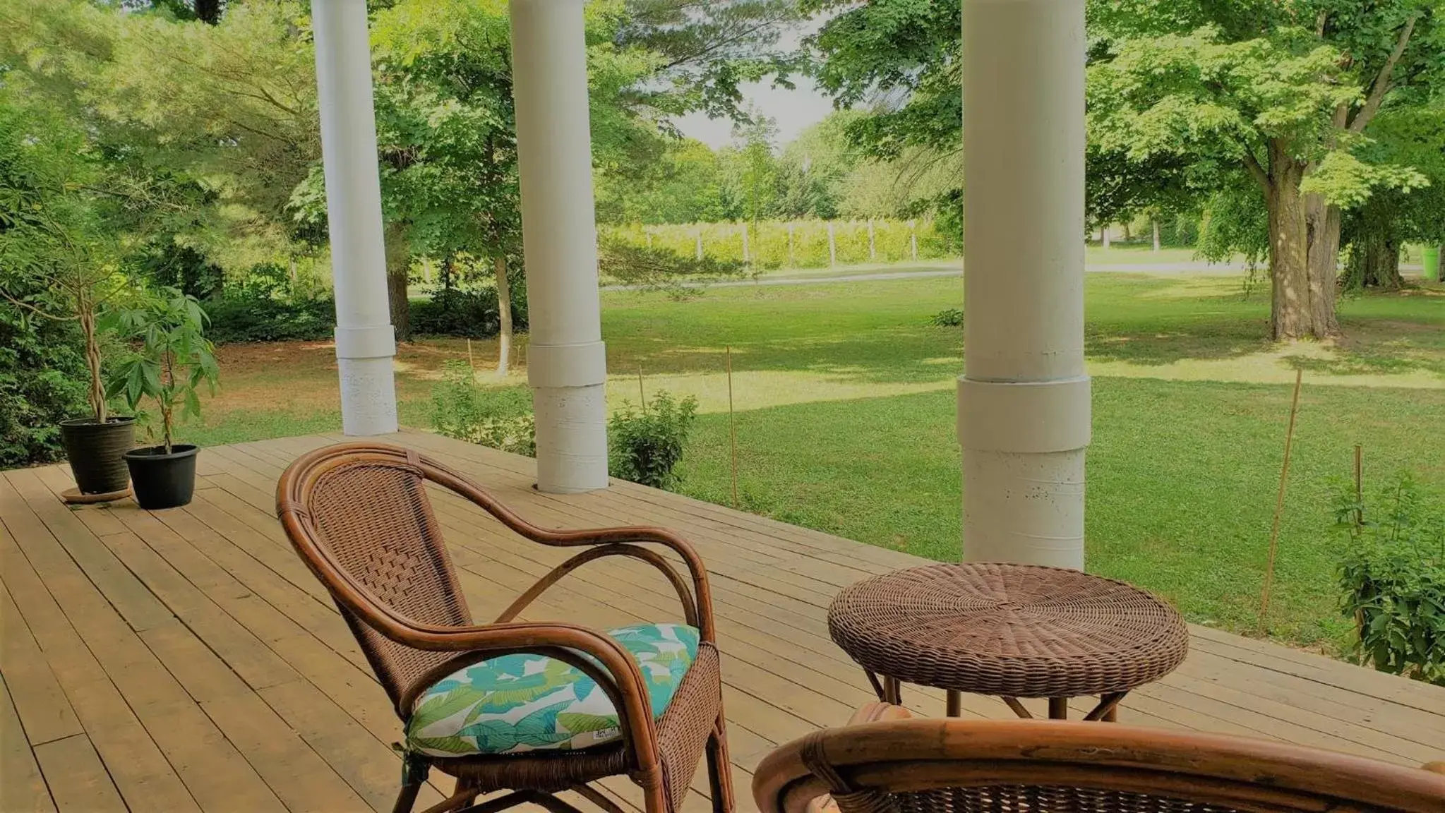 Natural landscape in Auberge du Vignoble Bromont