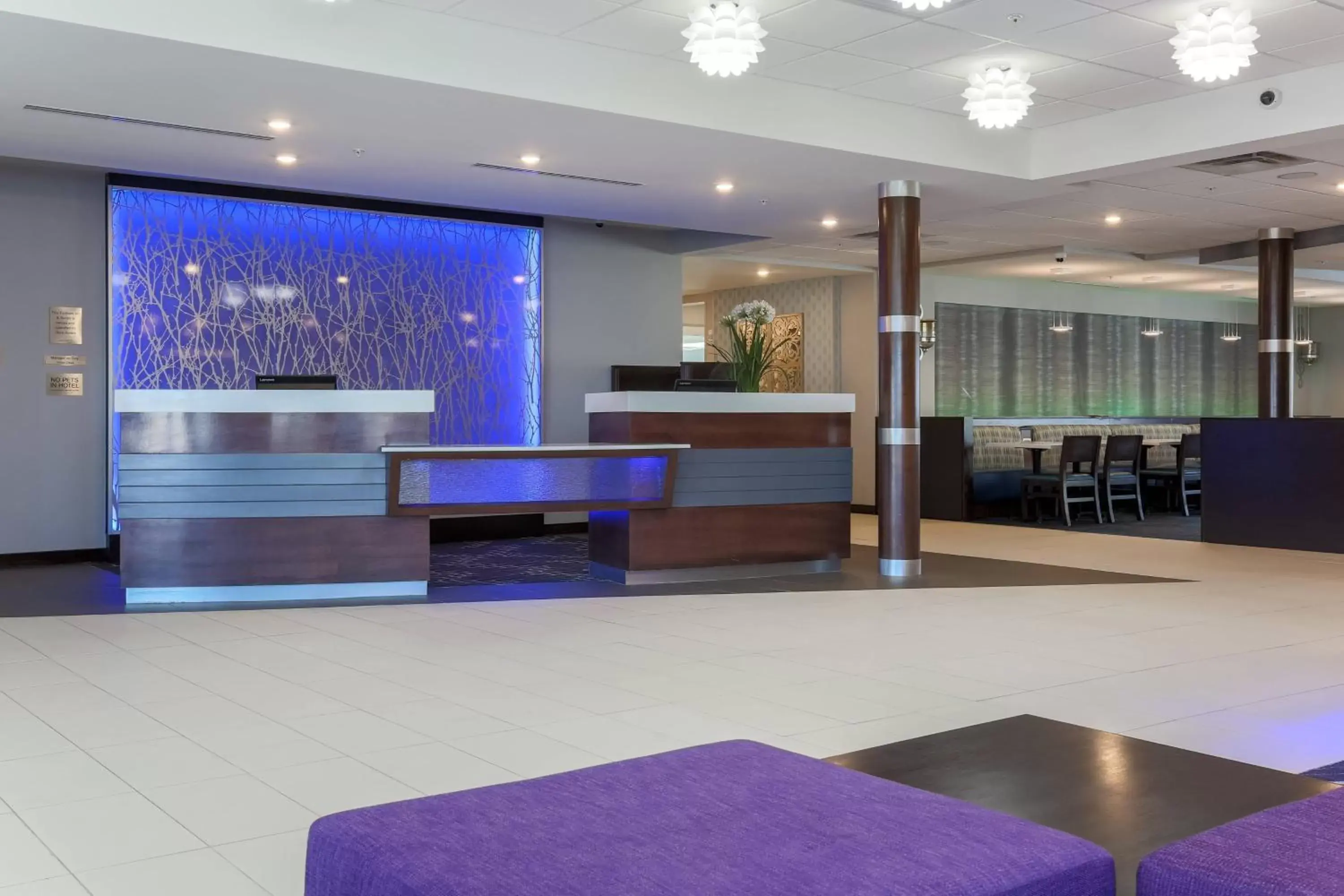 Lobby or reception, Lobby/Reception in Fairfield Inn & Suites by Marriott Wichita Falls Northwest