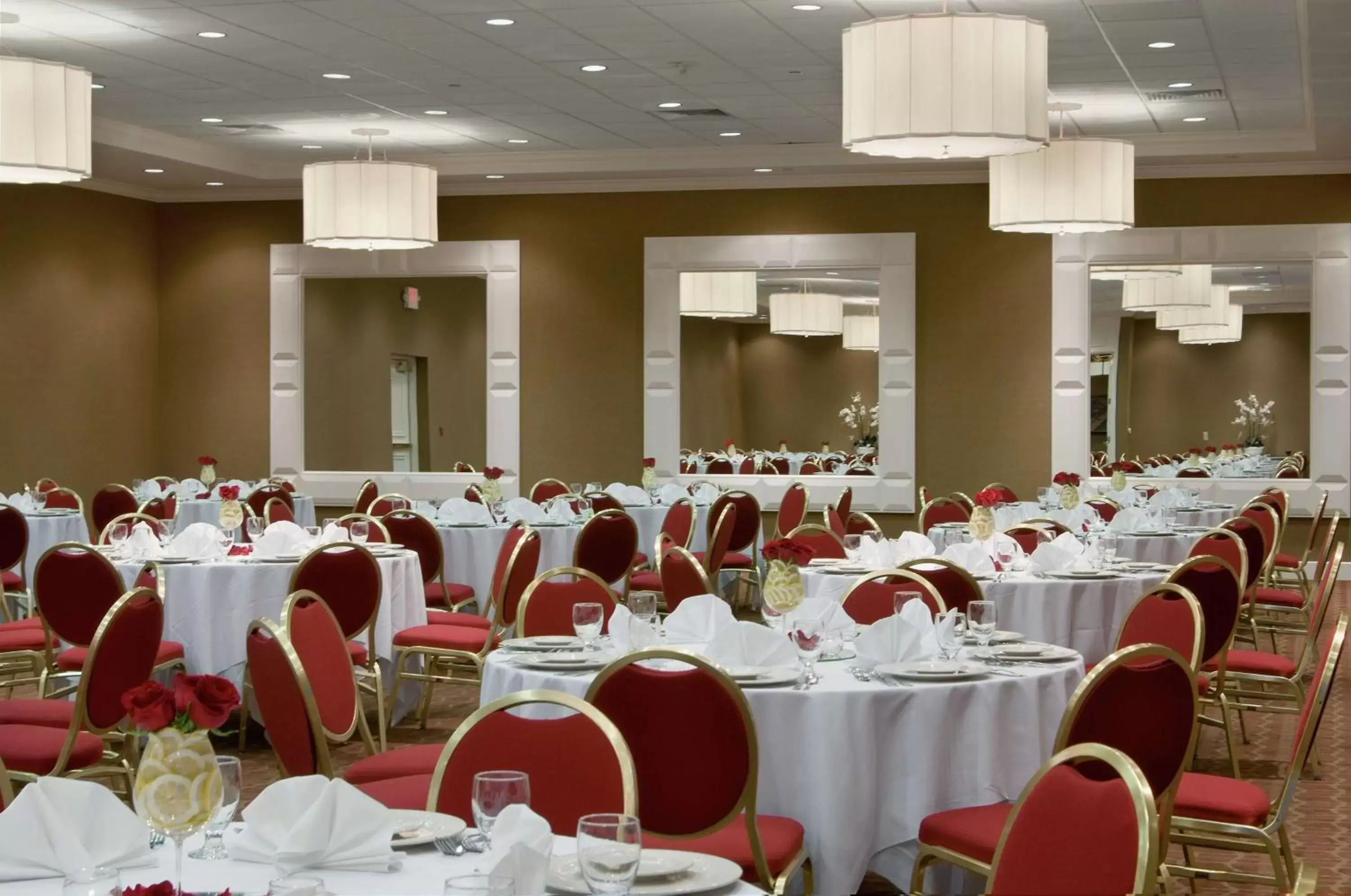 Meeting/conference room, Banquet Facilities in Hilton St. Louis Airport