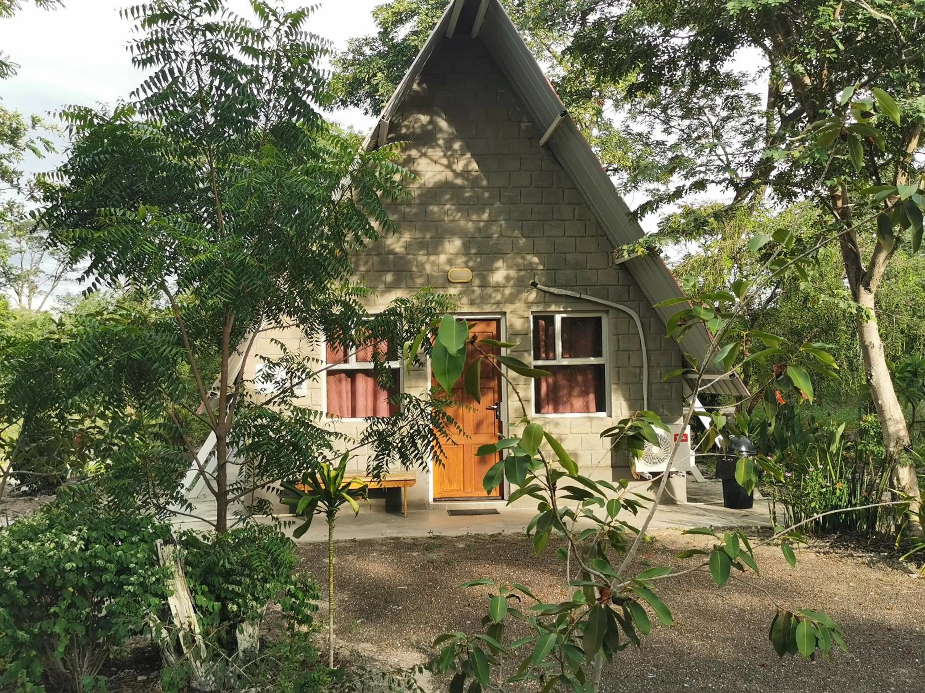 Property Building in Happy Forest B&B