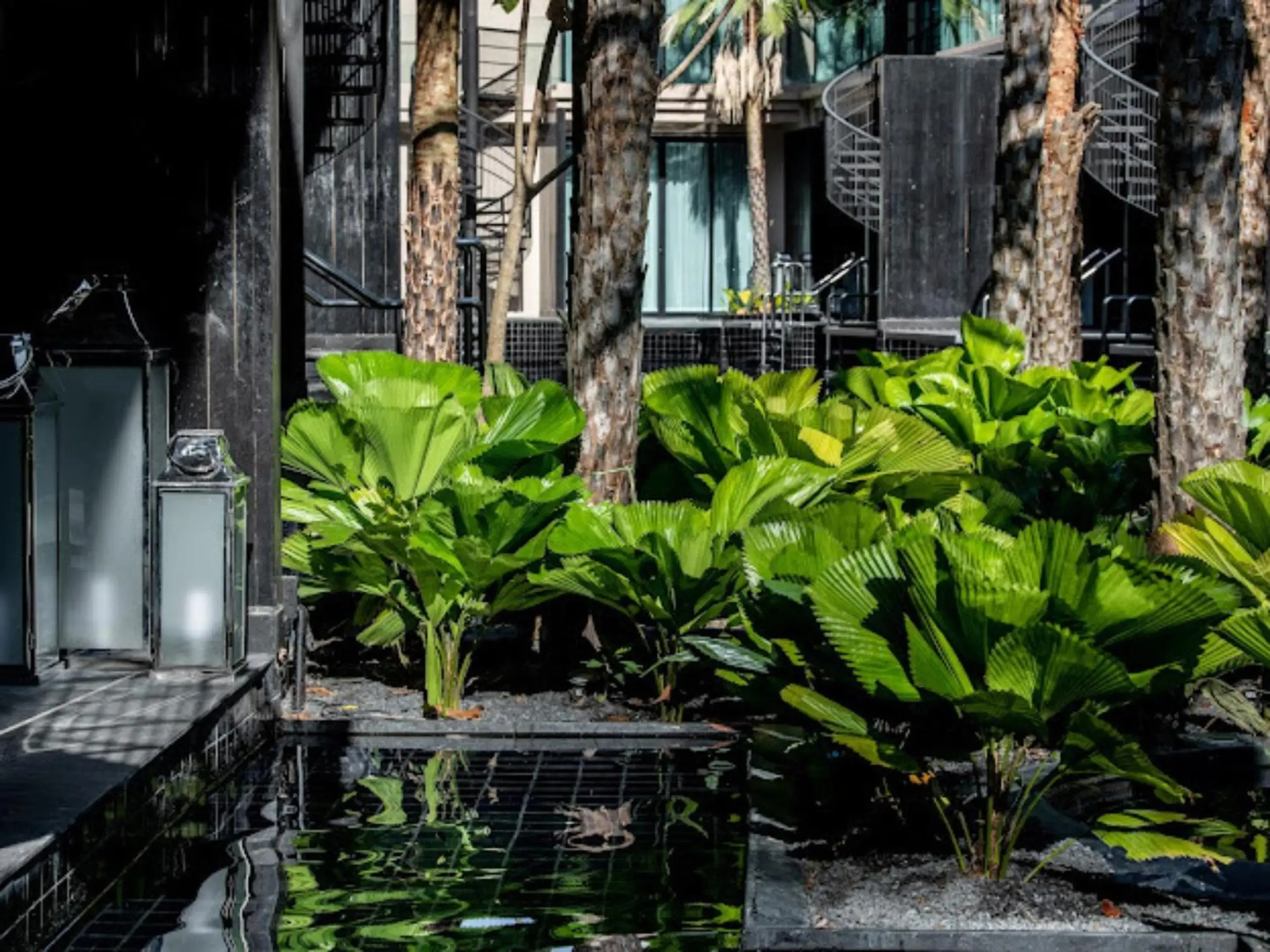 View (from property/room) in Areca Resort and Spa View (from property/room) in Areca Resort and Spa