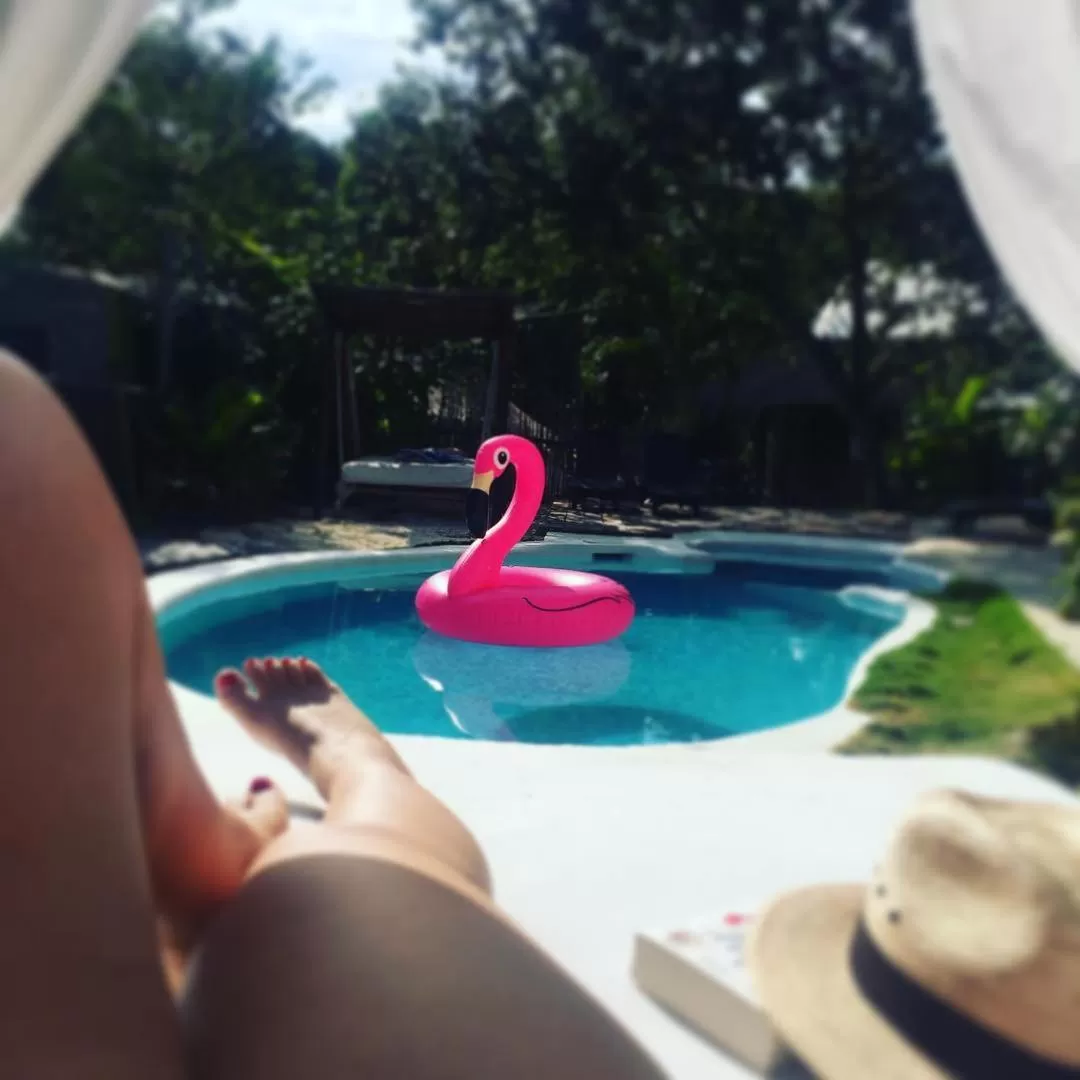 Swimming Pool in Harmony Glamping Boutique Hotel and Yoga