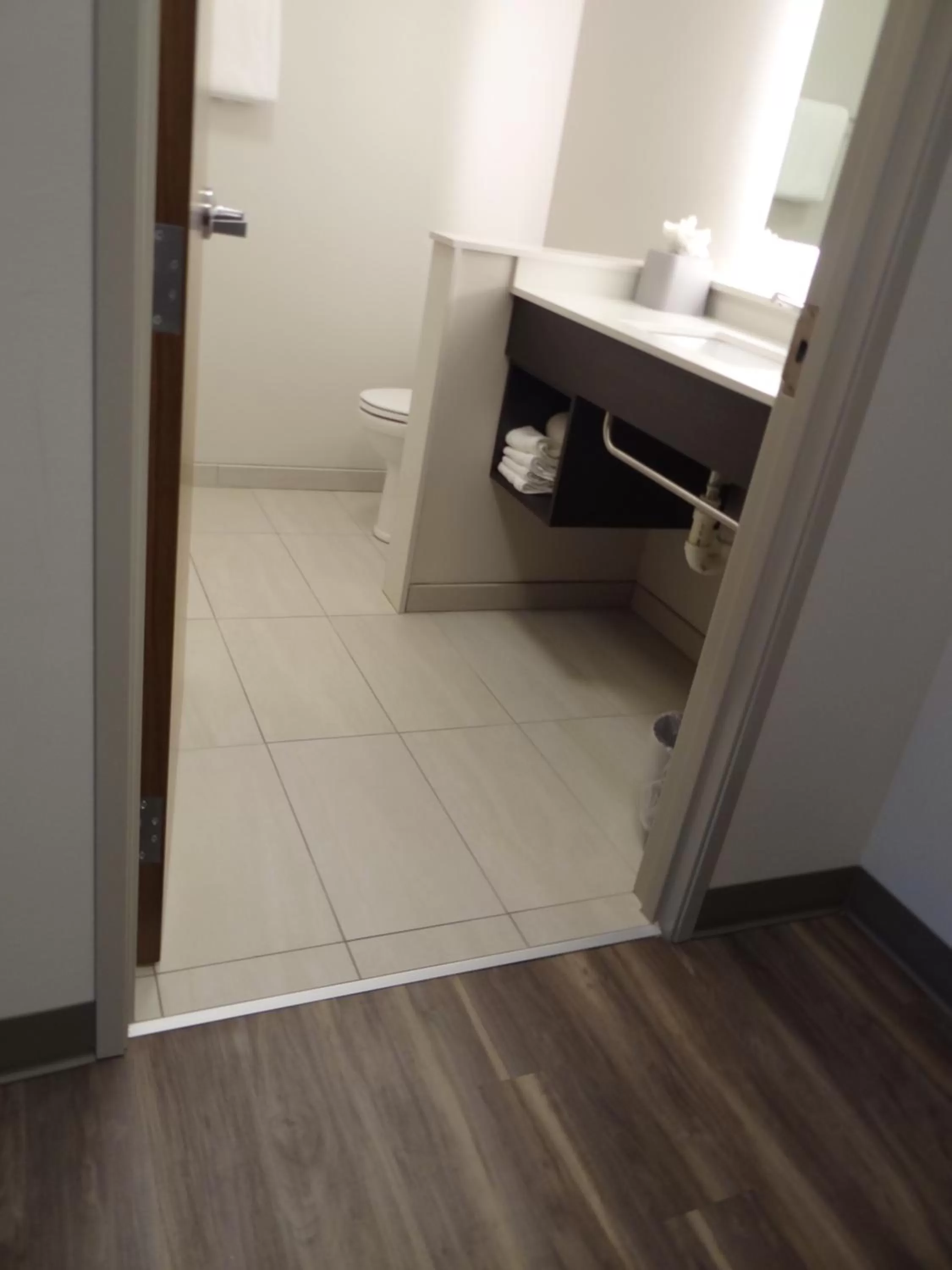 Holiday Inn Express & Suites - Auburn Downtown by IHG