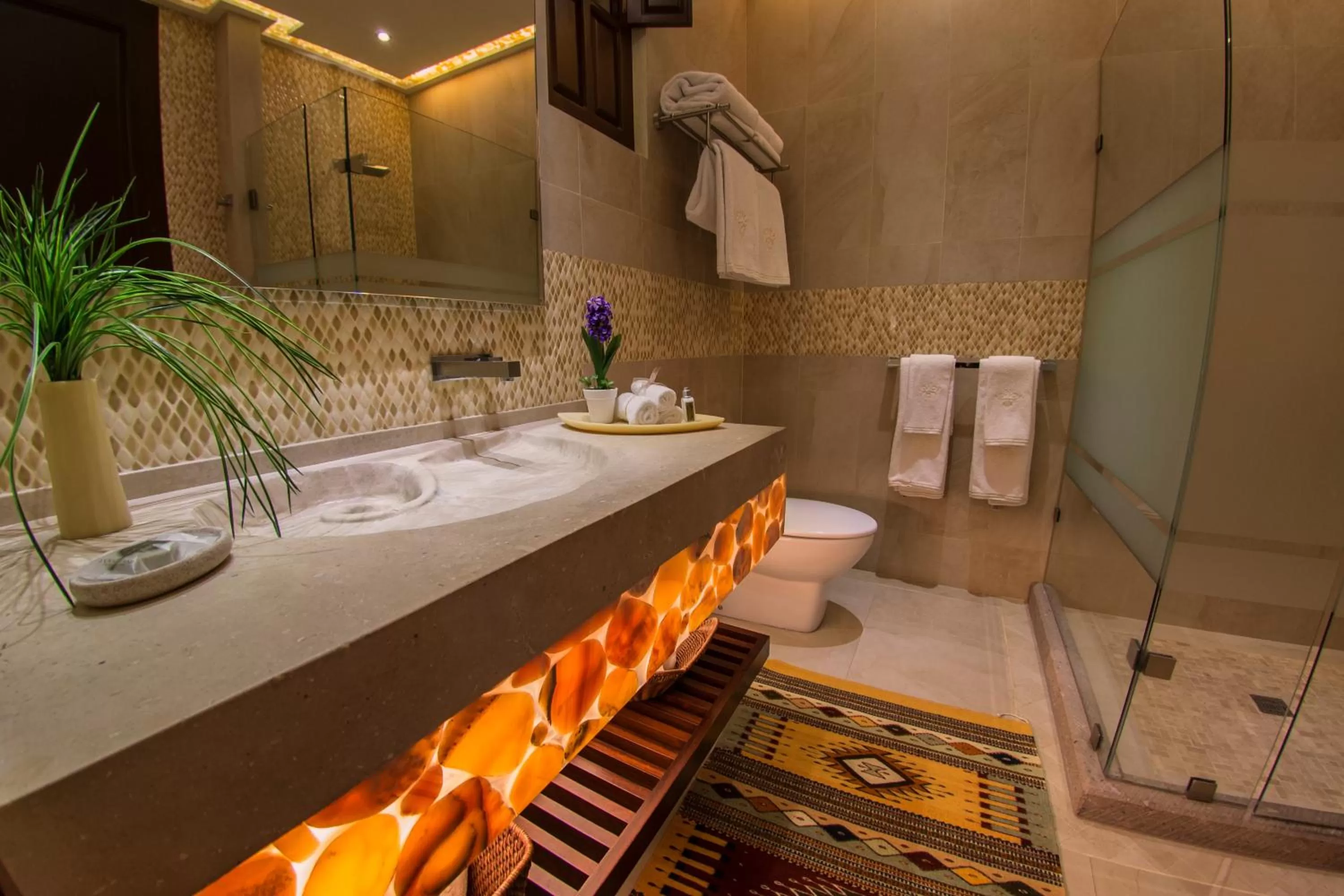 Shower in Hotel De La Soledad