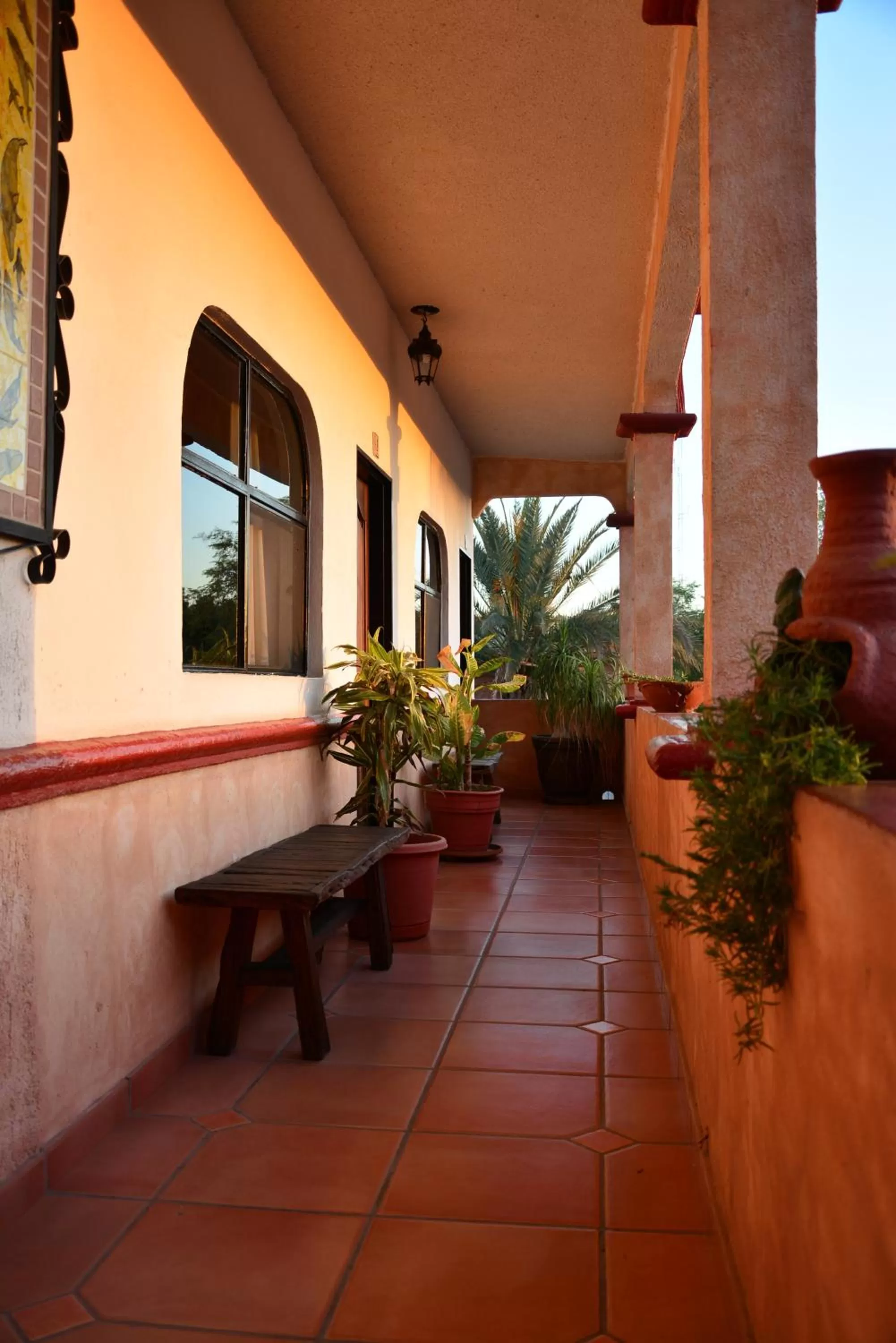Balcony/Terrace in Hotel Posada Luna Sol