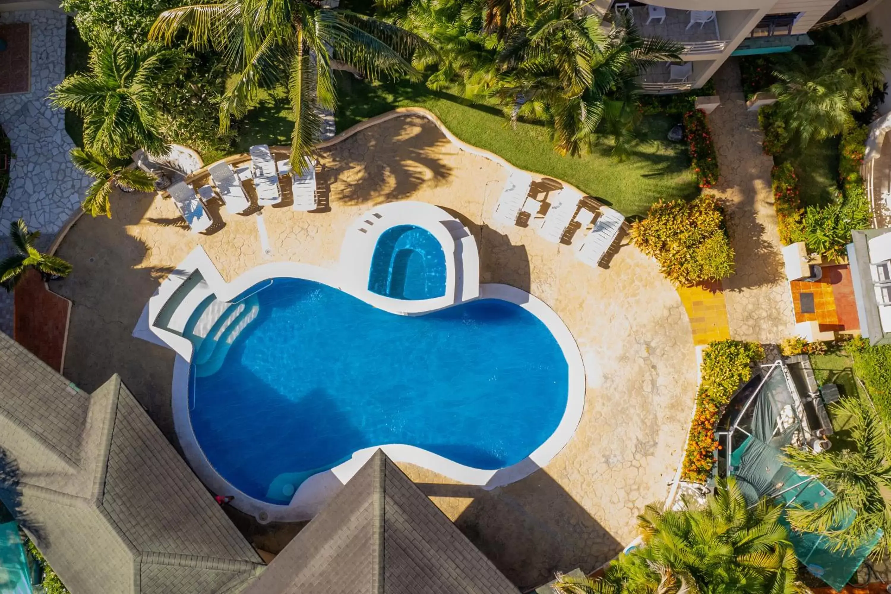 Swimming pool, Pool View in D'Piero Hotel