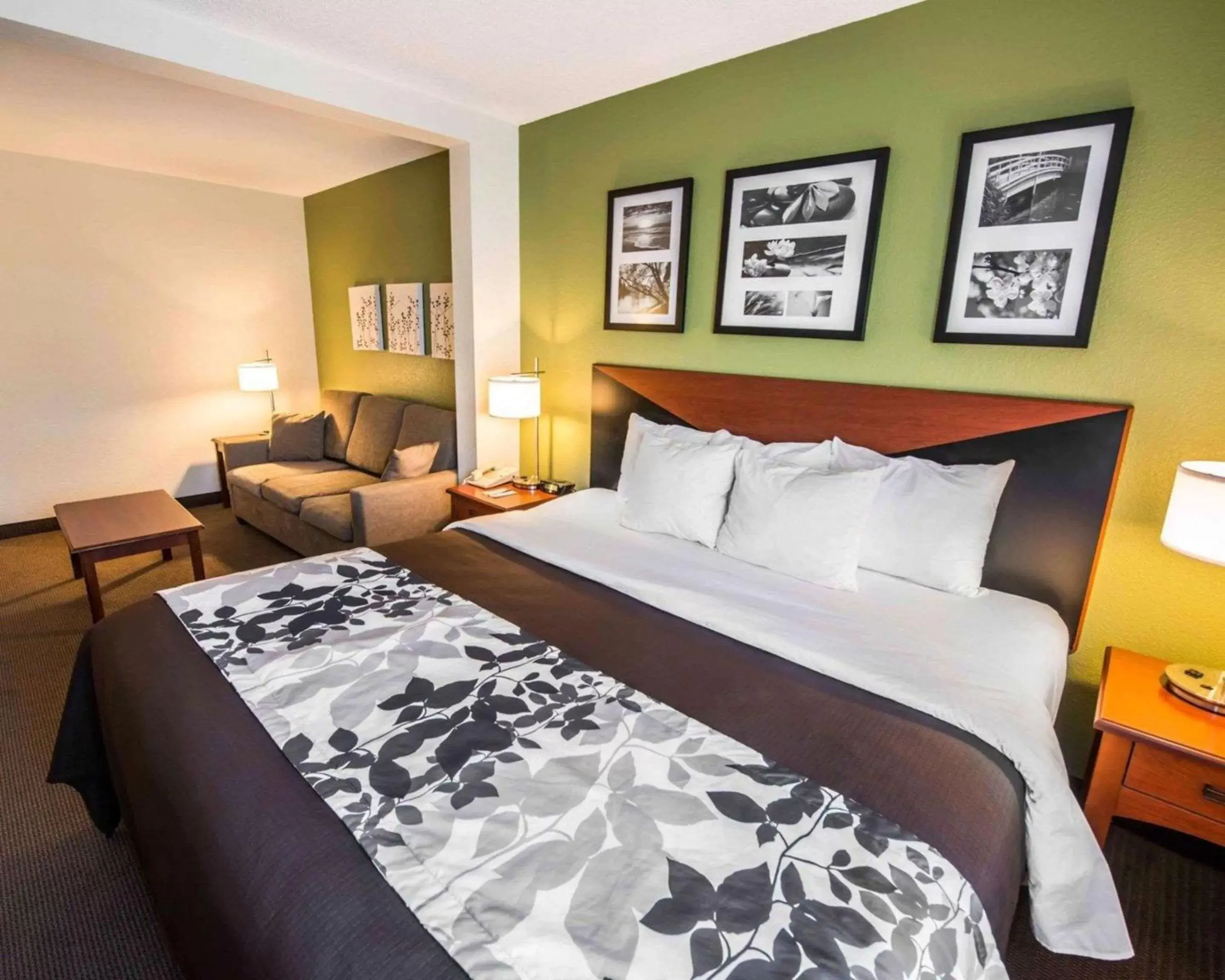 Bedroom, Bed in Sleep Inn & Suites Princeton I-77