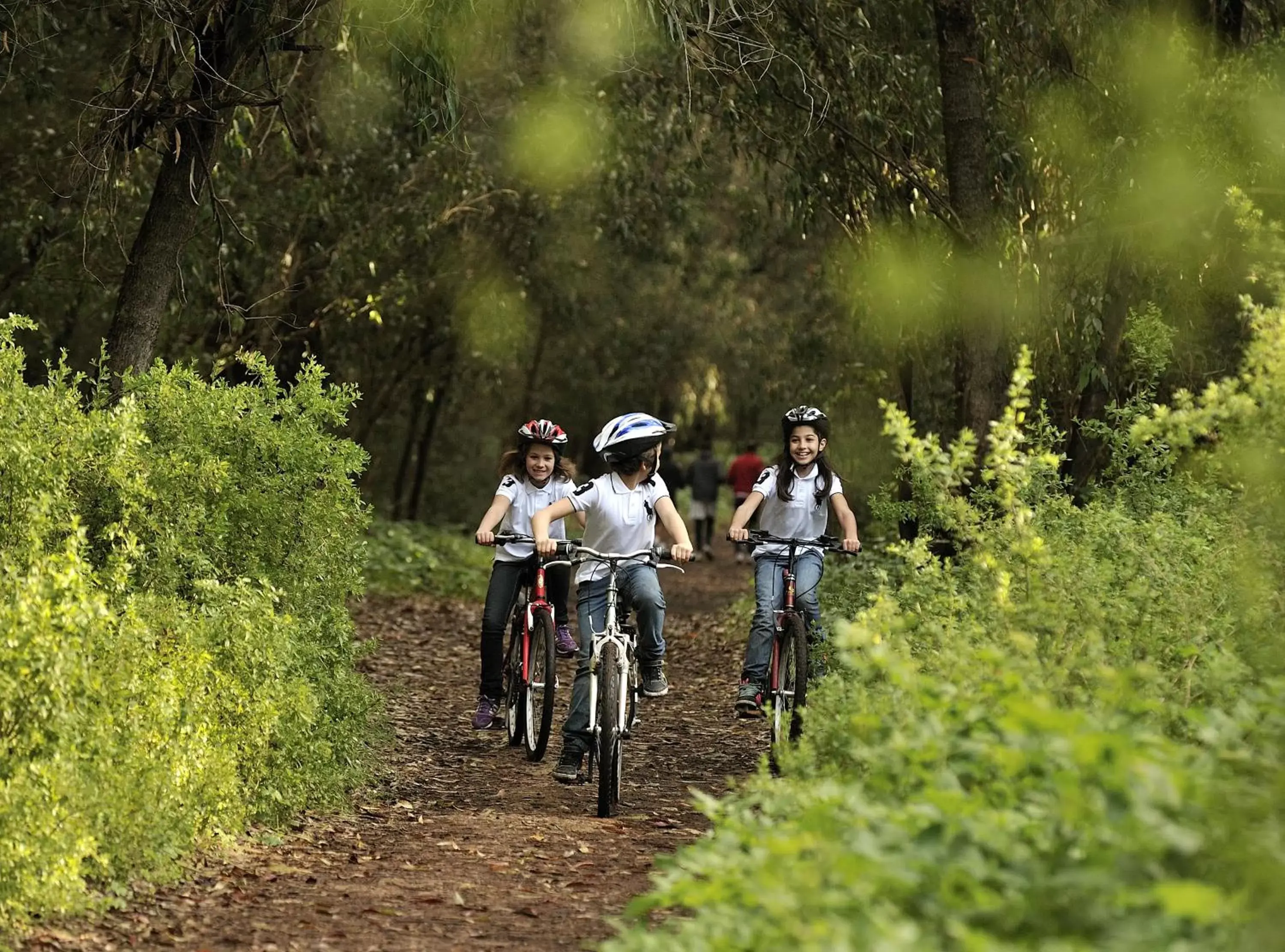 Cycling, Horseback Riding in Pullman Mazagan Royal Golf & Spa