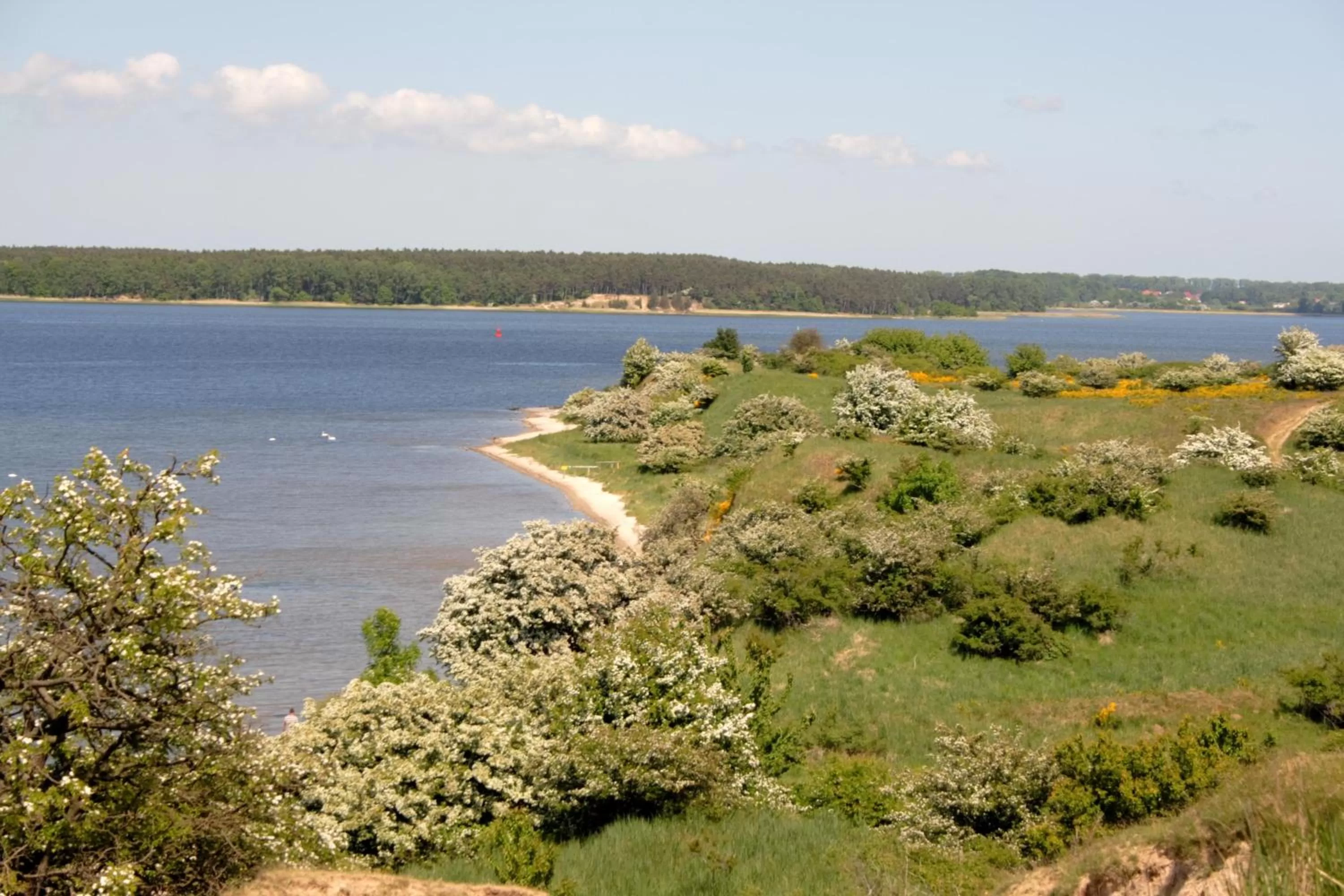 Natural landscape in Kurhaus Devin