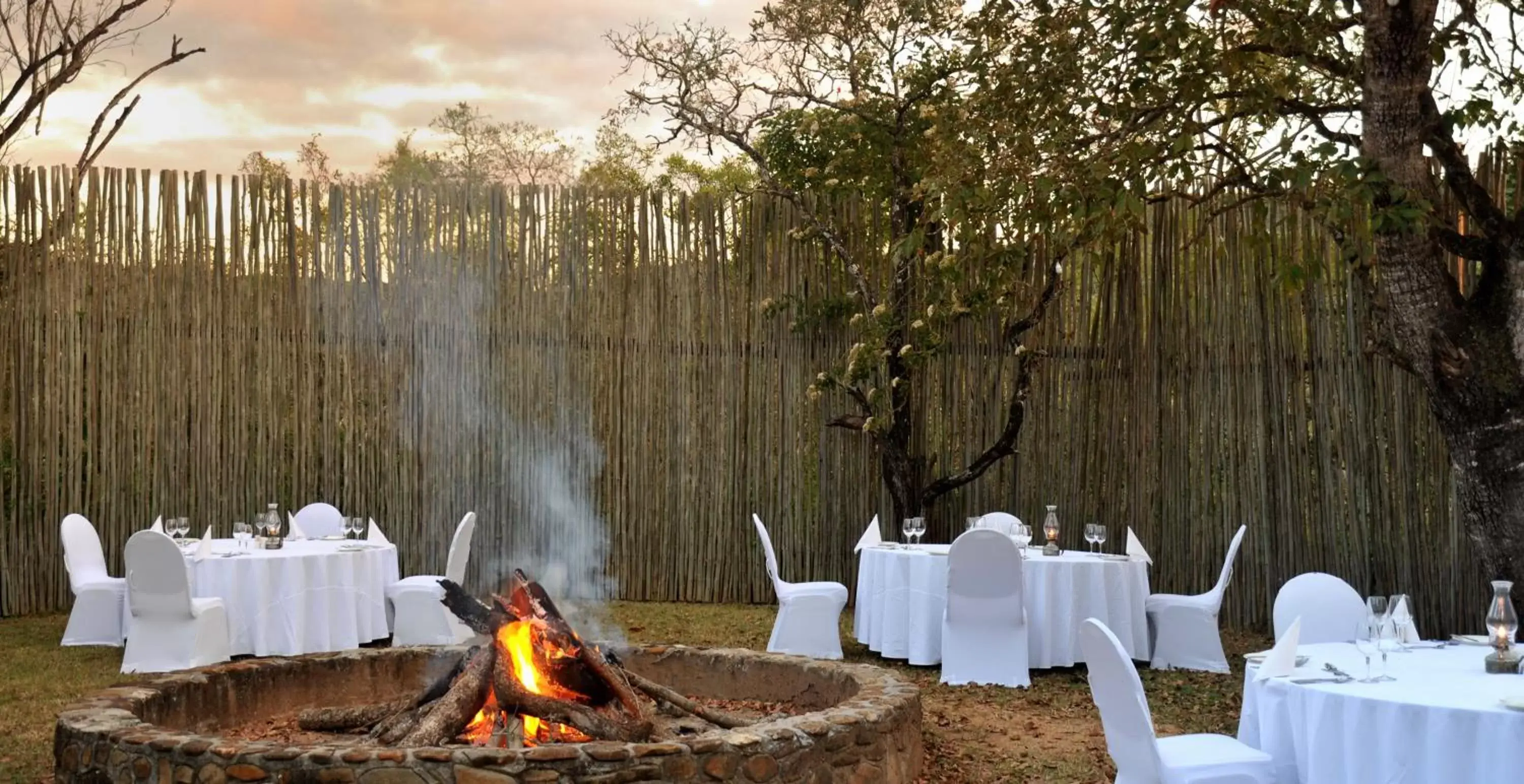 Garden in ANEW Resort Hazyview Kruger Park Garden in ANEW Resort Hazyview Kruger Park