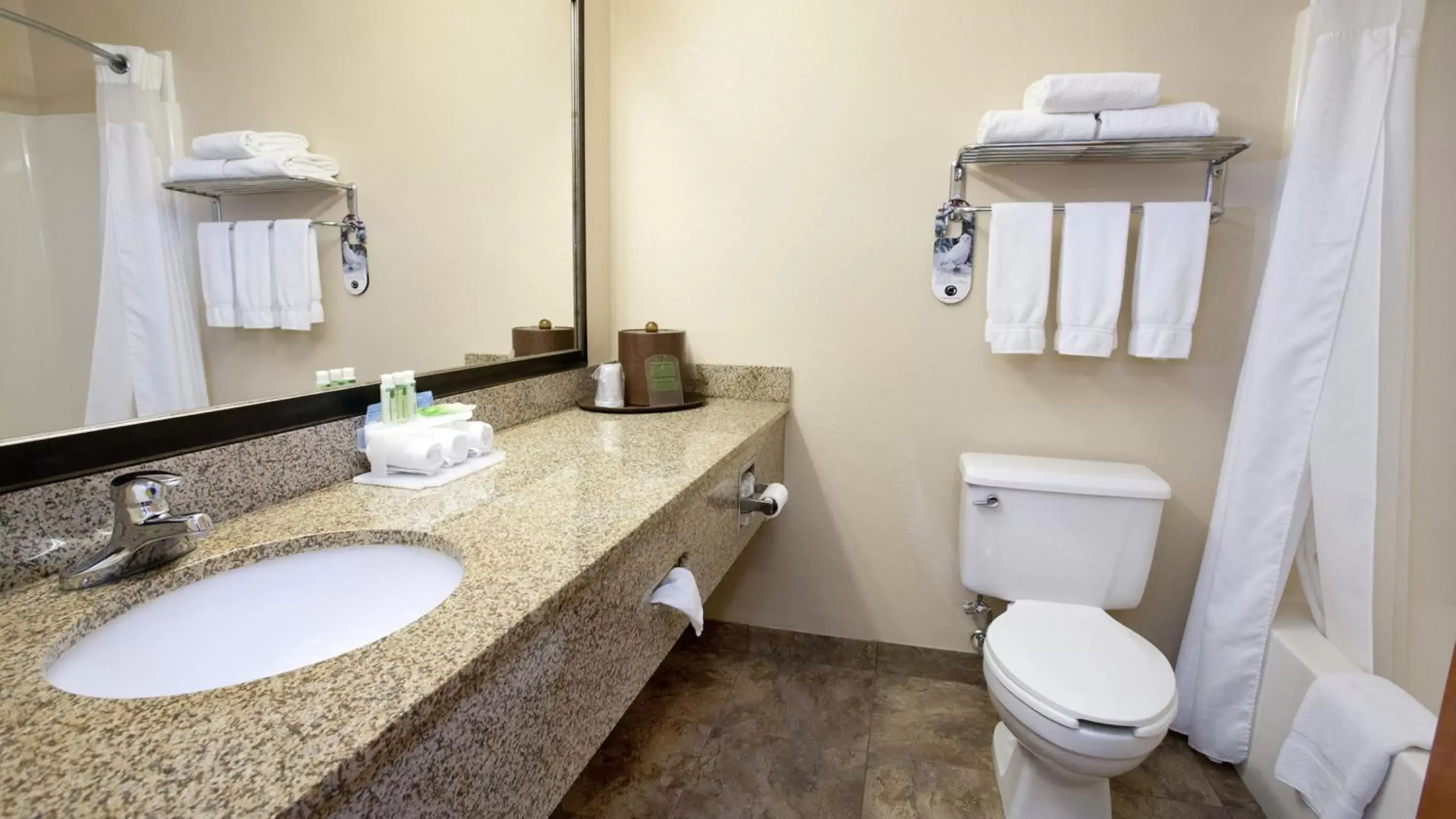 Photo of the whole room, Bathroom in Holiday Inn Express Jamestown, an IHG Hotel