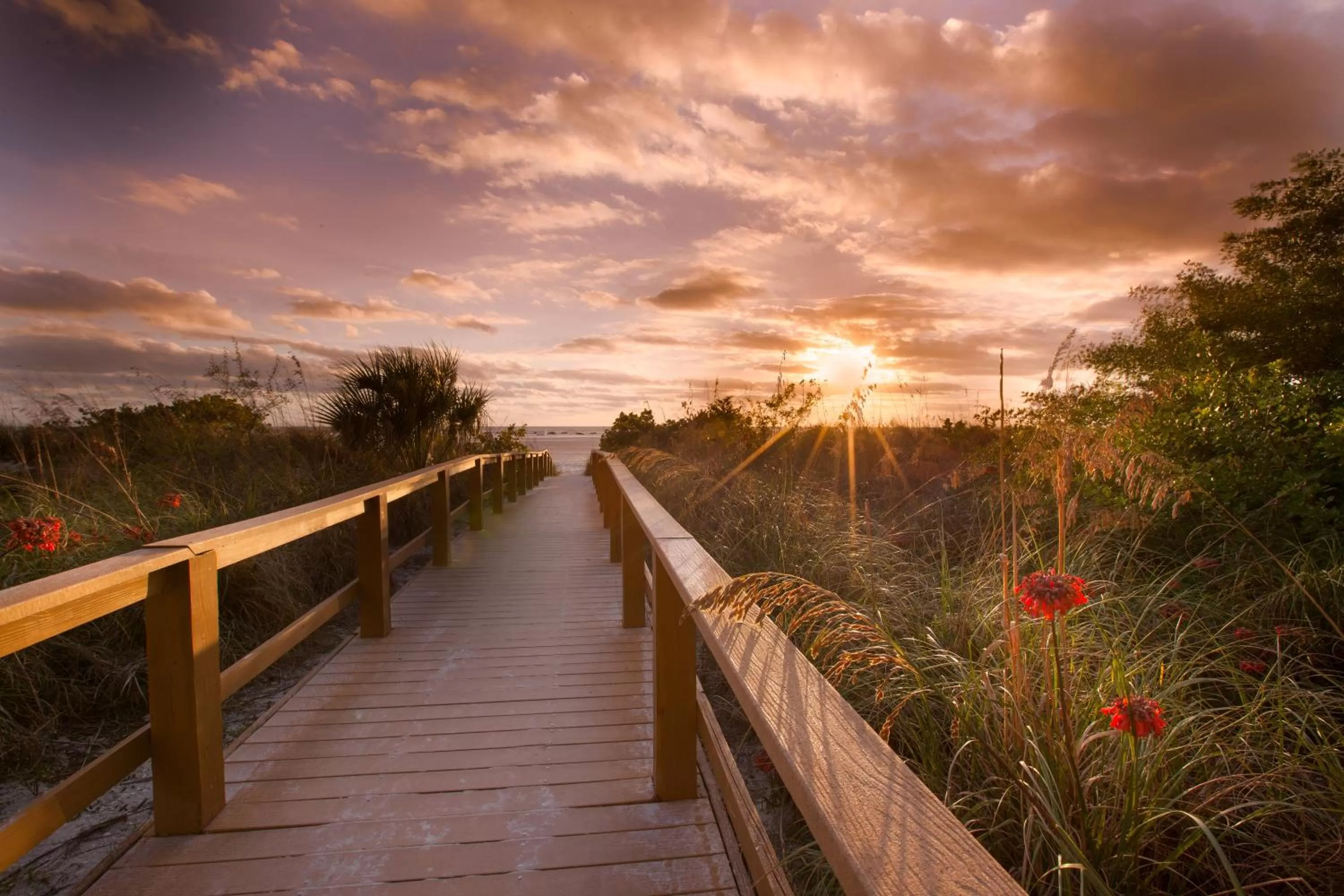 Natural landscape in GullWing Beach Resort