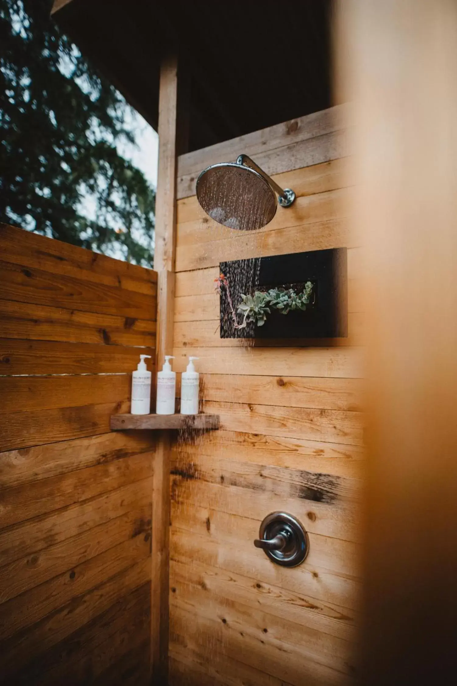 Area and facilities in The Shoreline Tofino