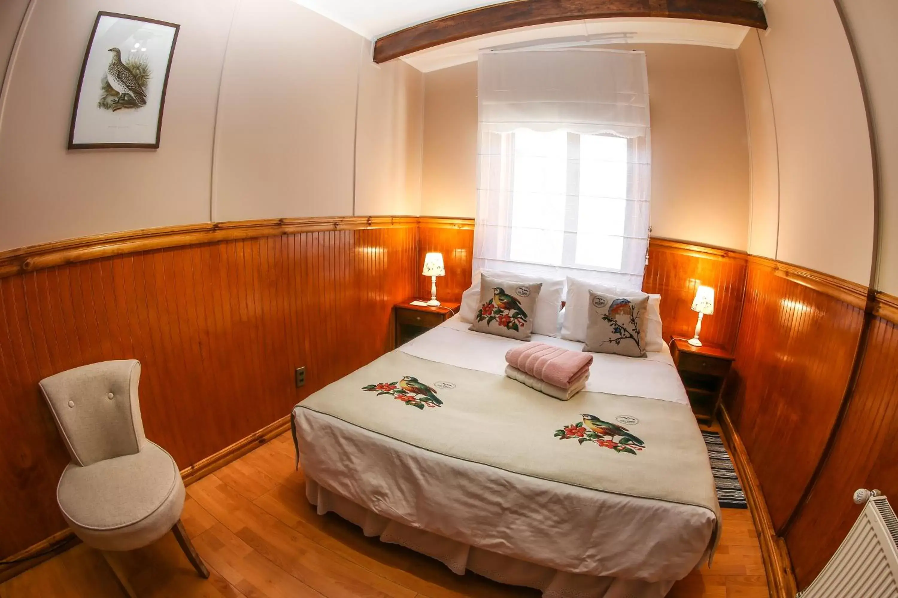 Double Room with Private Bathroom in Hotel Albatros Double Room with Private Bathroom in Hotel Albatros