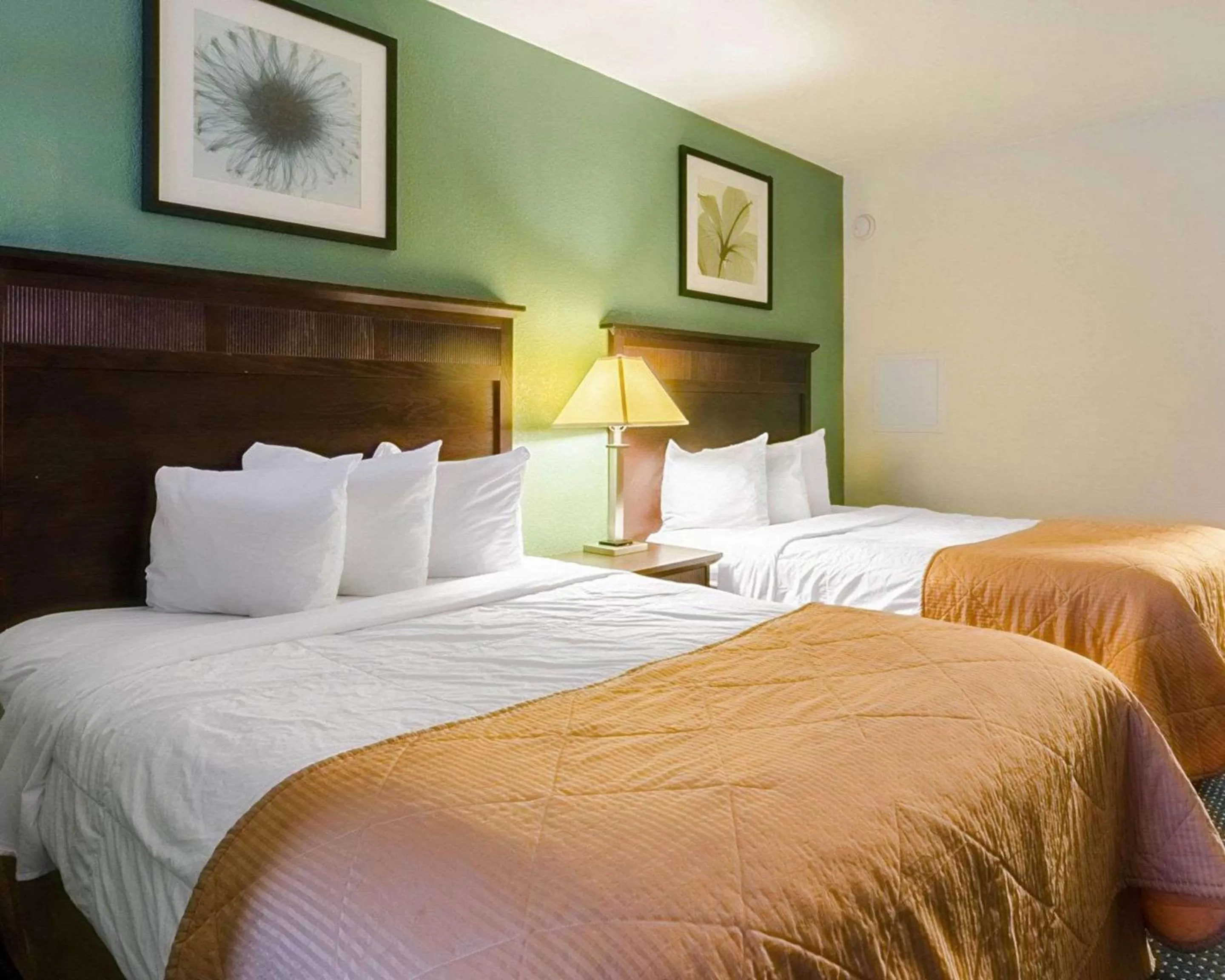 Photo of the whole room, Bed in Rodeway Inn & Suites Williamsburg Central