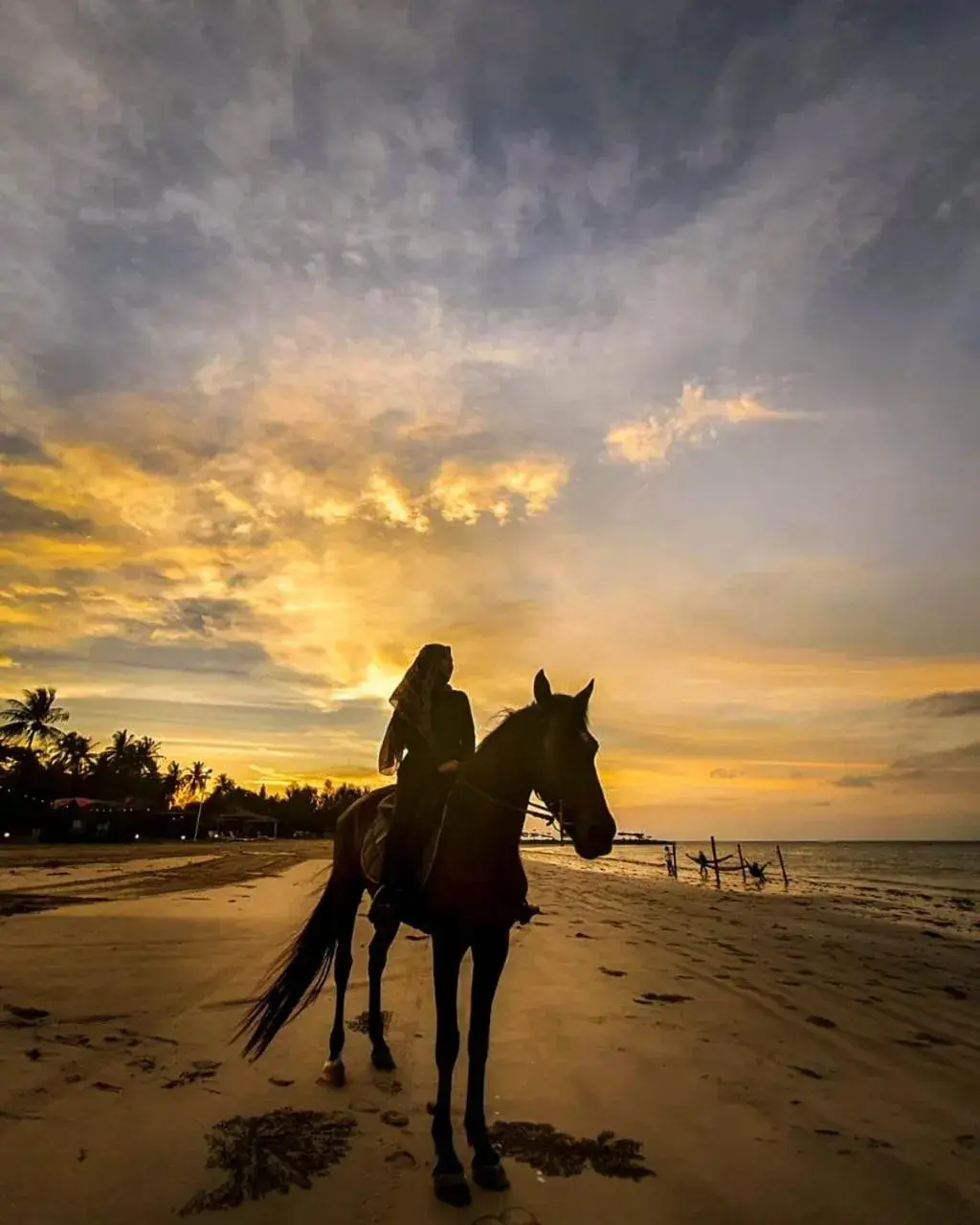 Horse-riding, Horseback Riding in Palm Beach Resort & Spa