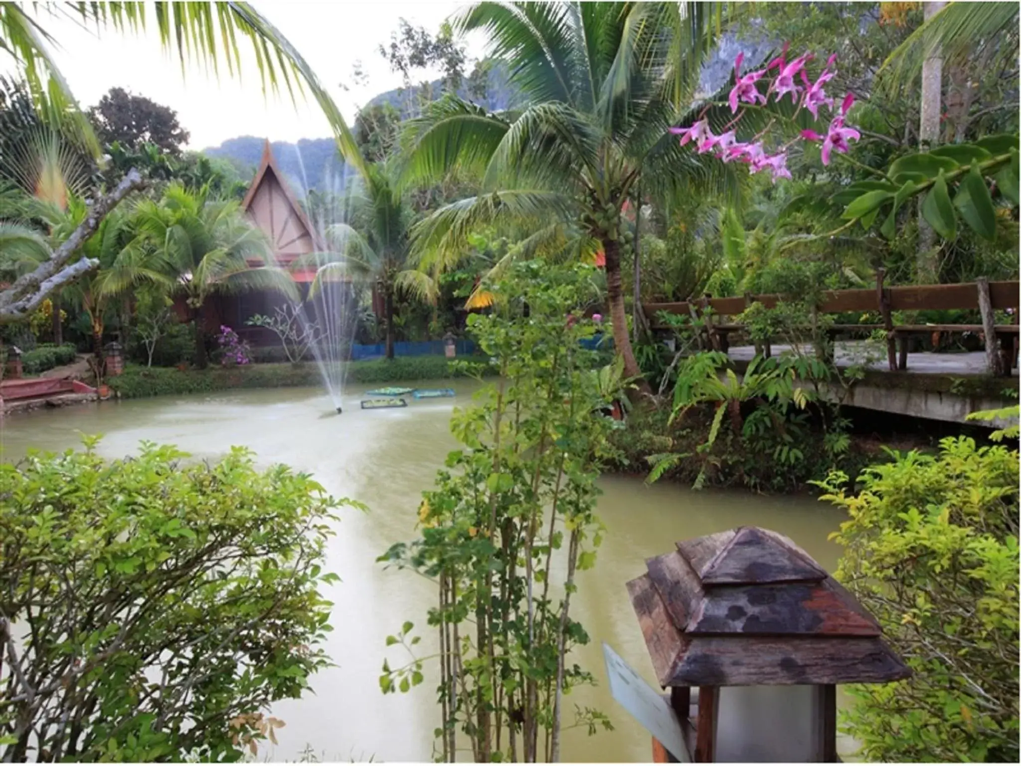 View (from property/room), Garden in Green View Village Resort - SHA Plus