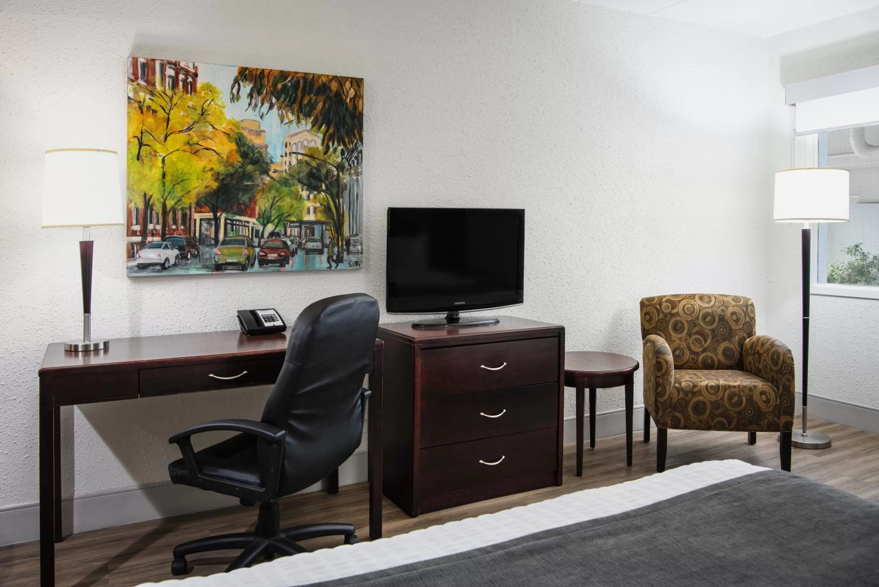 TV and multimedia in Viscount Gort Hotel, Banquet & Conference Centre